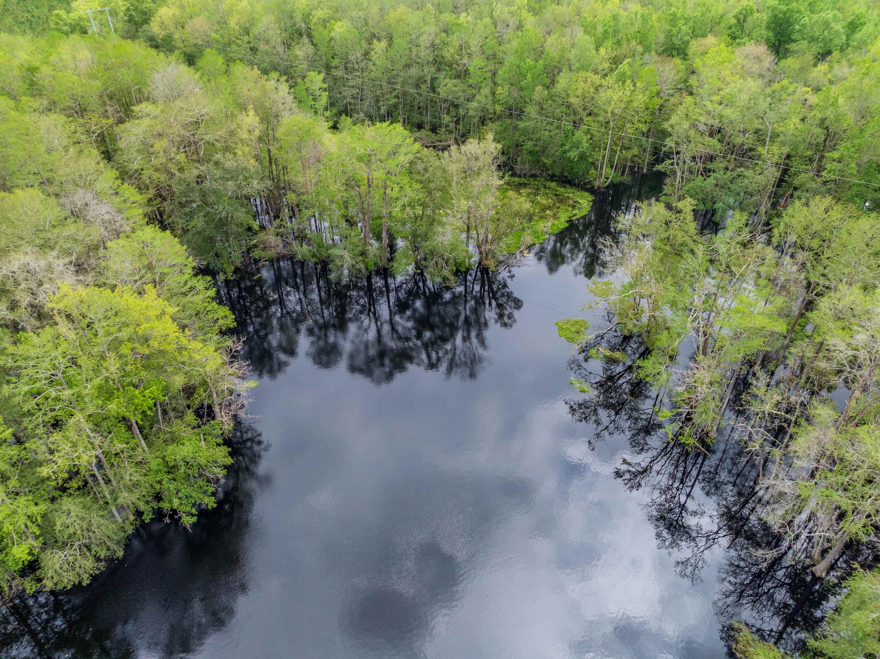 659 Blue Lake Road, Monticello, Florida image 9