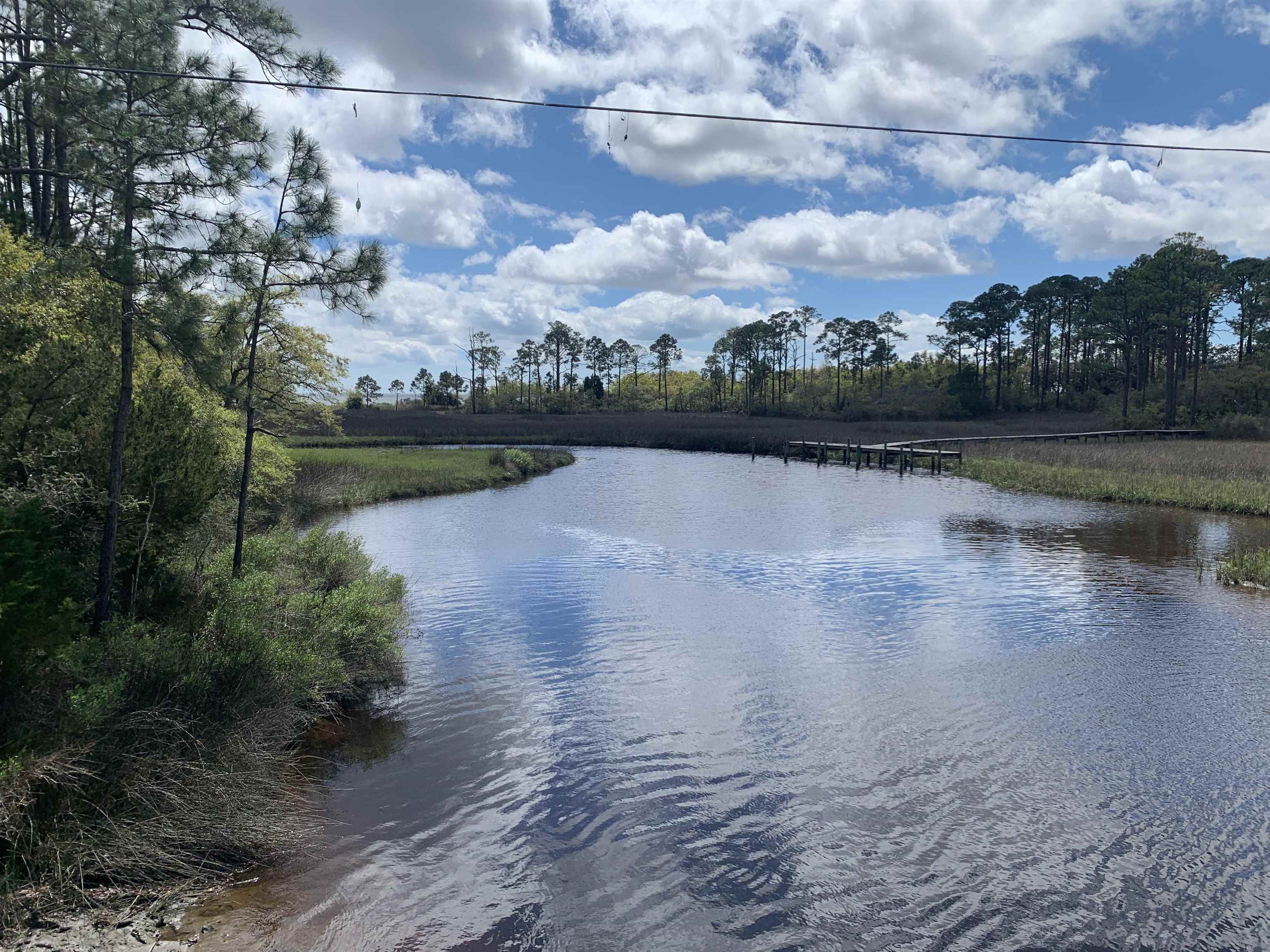 2990 Pristine Drive, CARRABELLE, Florida image 23