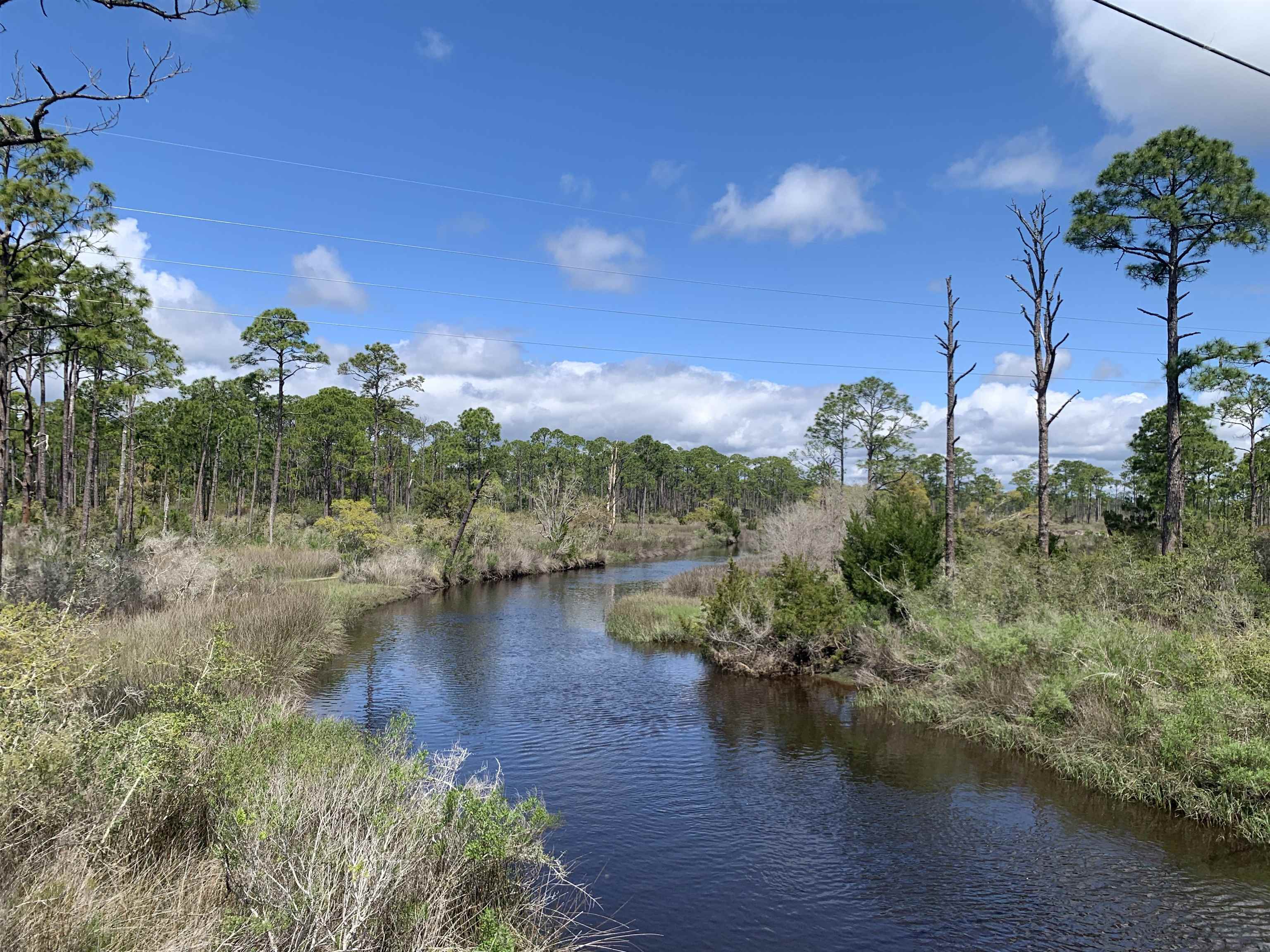 2990 Pristine Drive, CARRABELLE, Florida image 24