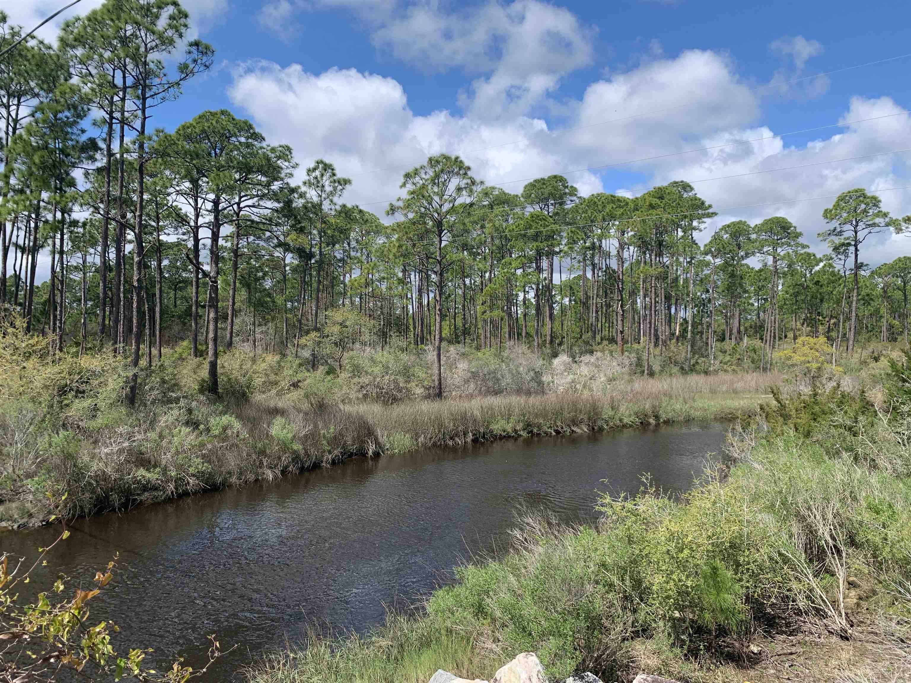 2990 Pristine Drive, CARRABELLE, Florida image 28