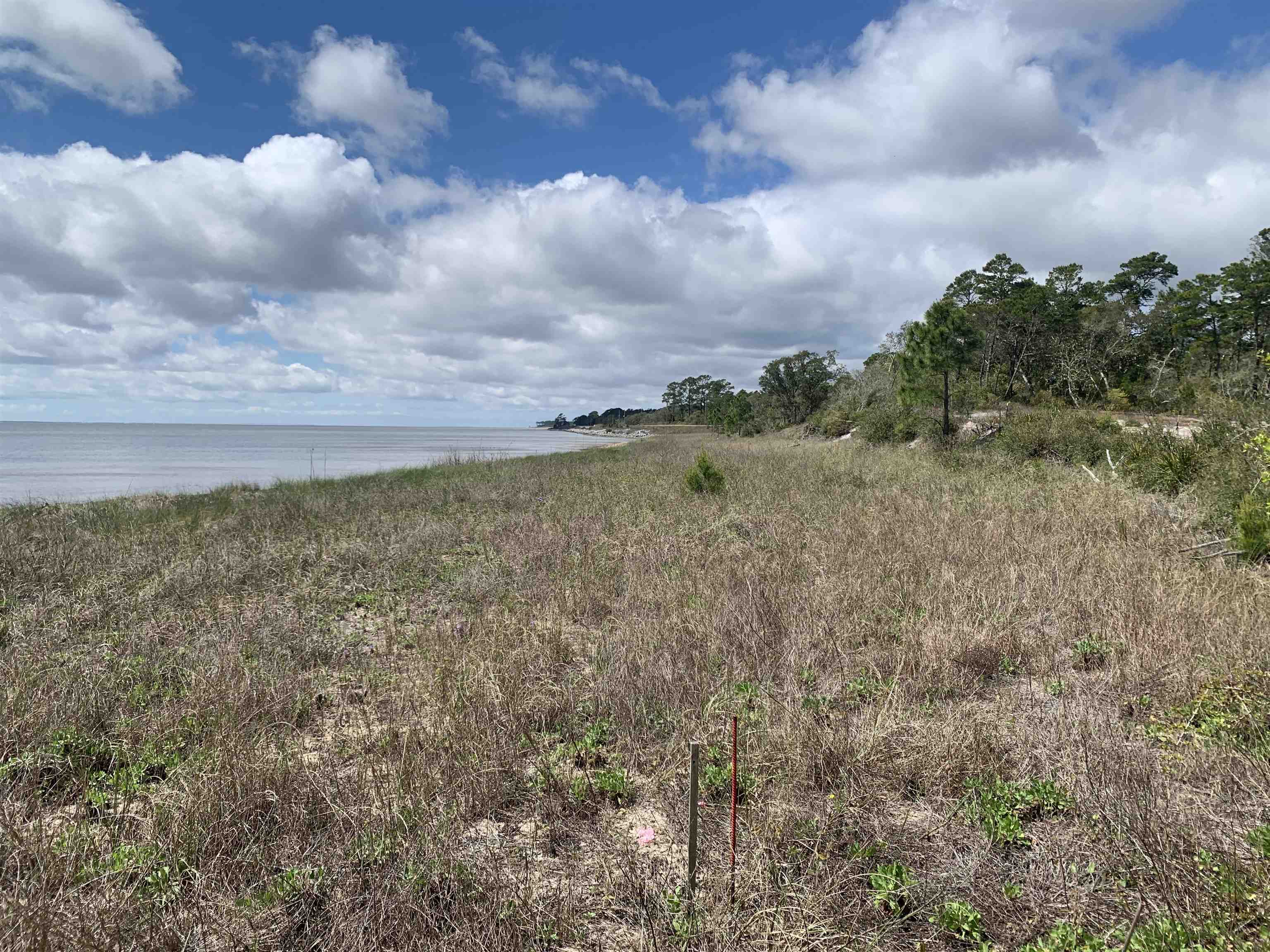 2990 Pristine Drive, CARRABELLE, Florida image 4