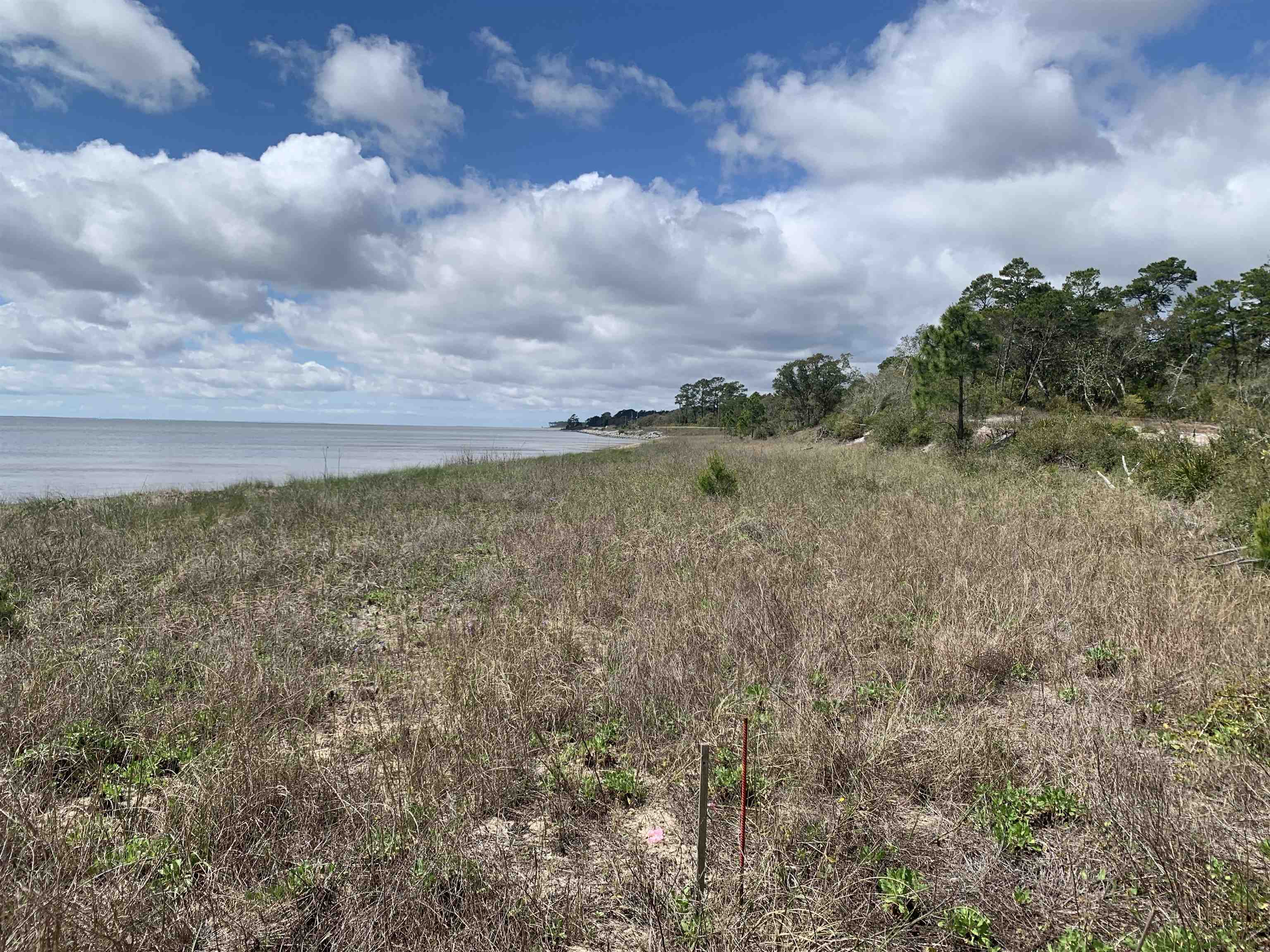 2990 Pristine Drive, CARRABELLE, Florida image 9