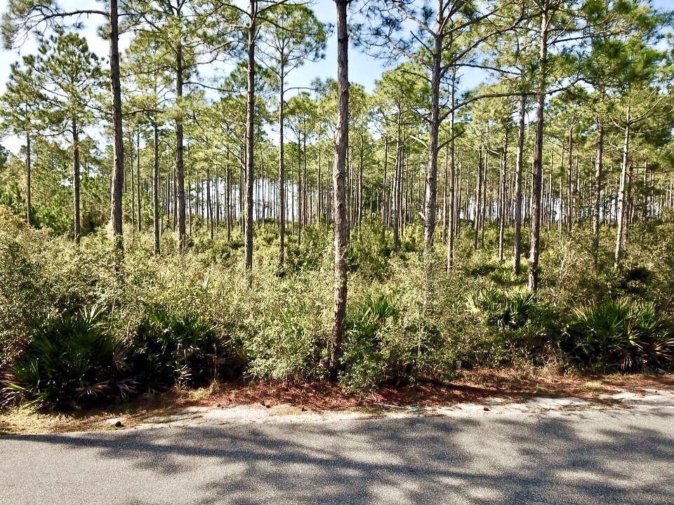 168 Lightning Bug Lane #LOT 368 - EAST, ST TERESA, Florida image 17