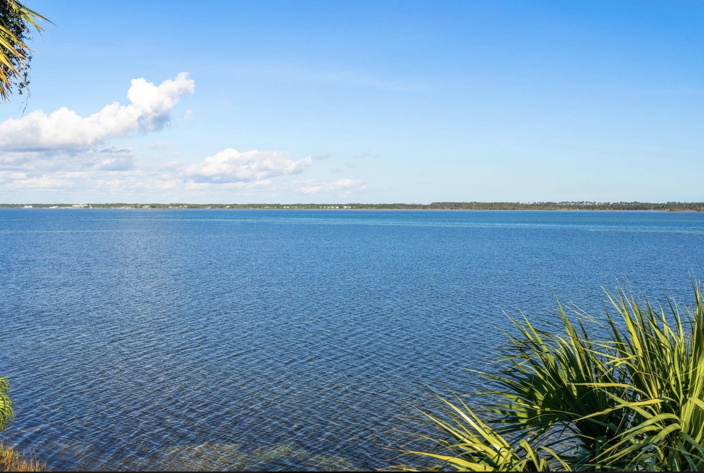 2 Story Bungalow Blacks Island Trail, PORT ST JOE, Florida image 12