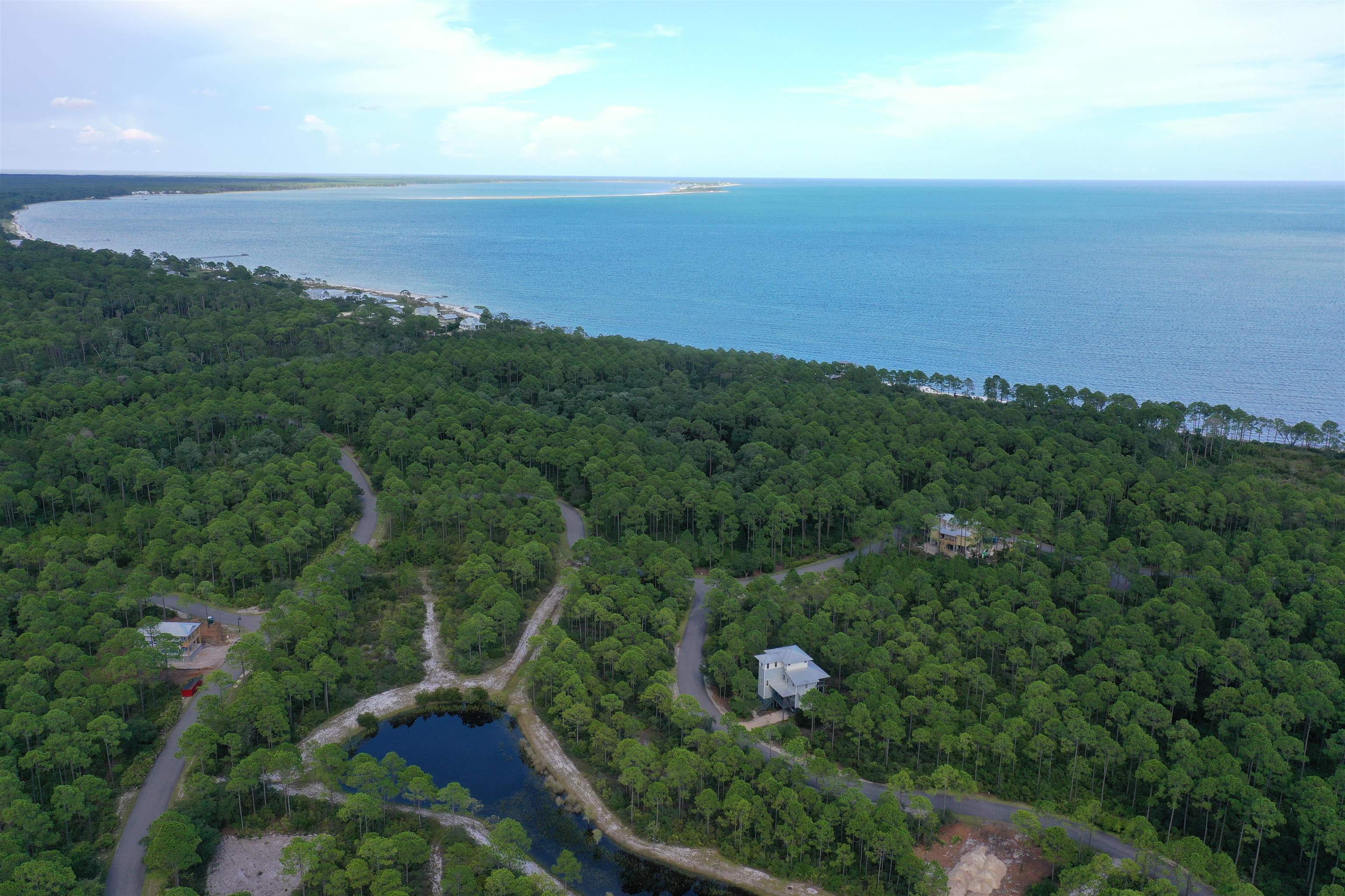 158 Lightning Bug Lane #LOT 370 - EAST, ST TERESA, Florida image 9