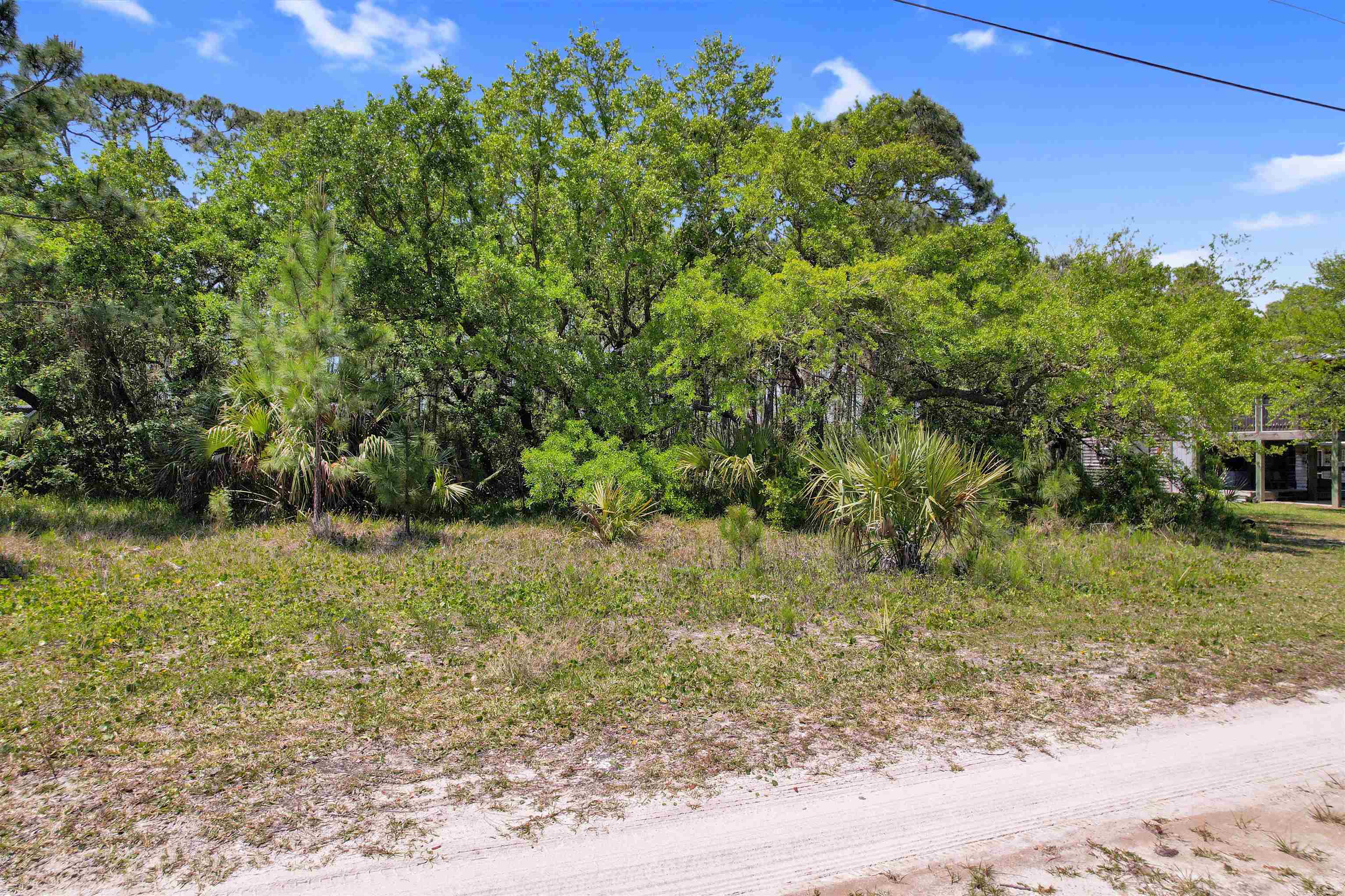 Lot 4 Pelican Bay Street, Alligator Point, Florida image 12