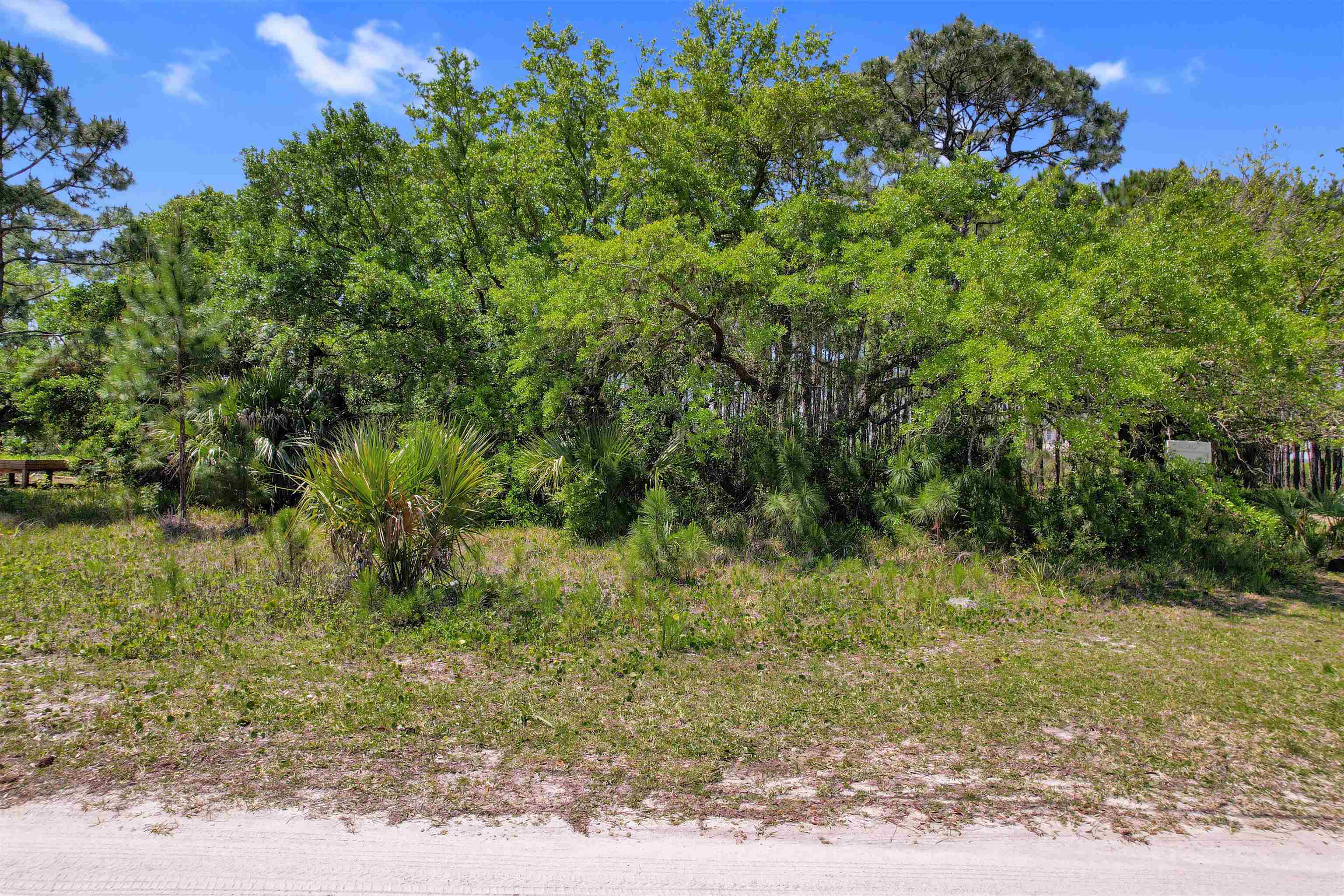 Lot 4 Pelican Bay Street, Alligator Point, Florida image 13