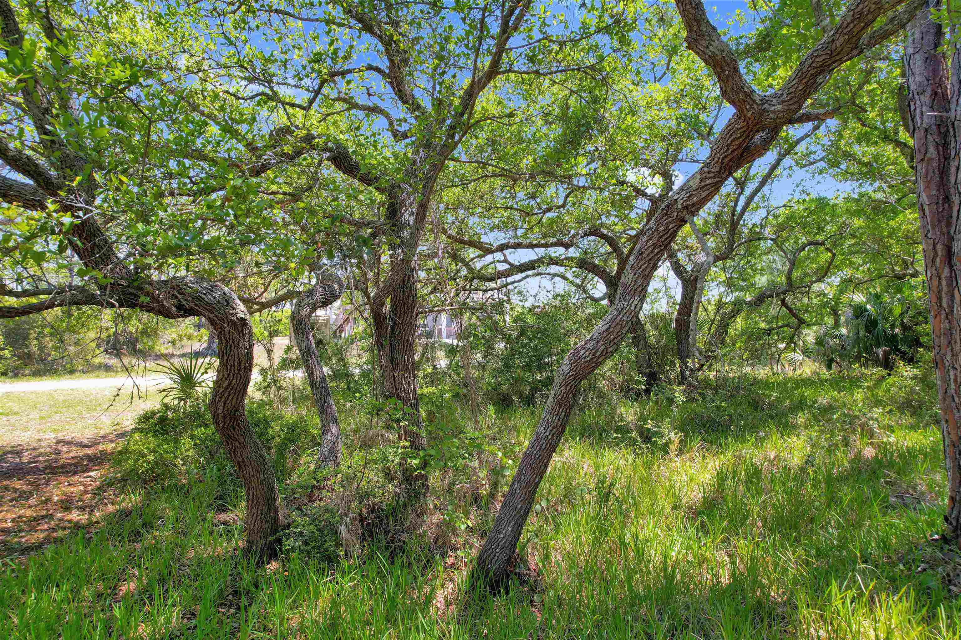 Lot 4 Pelican Bay Street, Alligator Point, Florida image 3