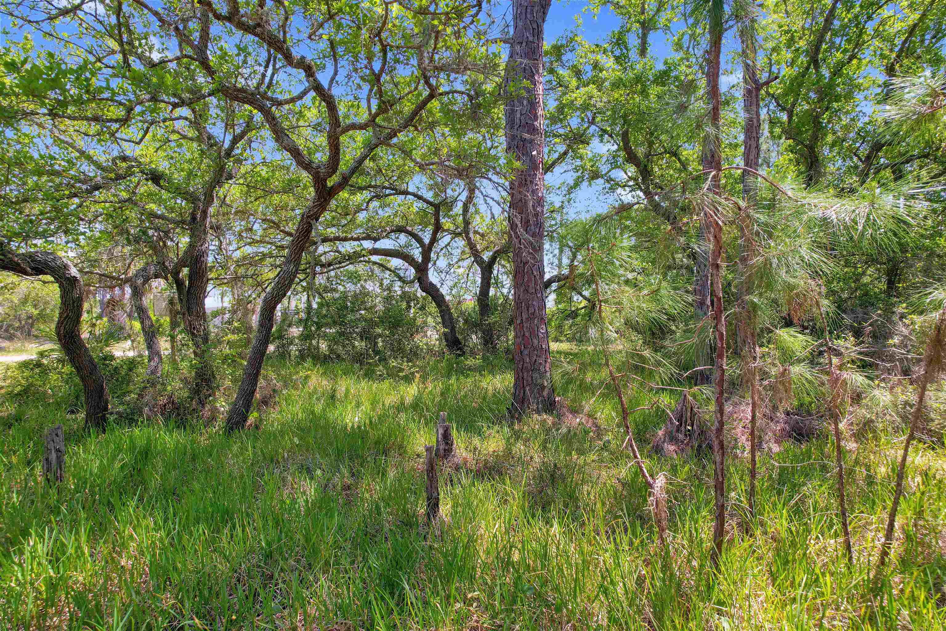 Lot 4 Pelican Bay Street, Alligator Point, Florida image 4