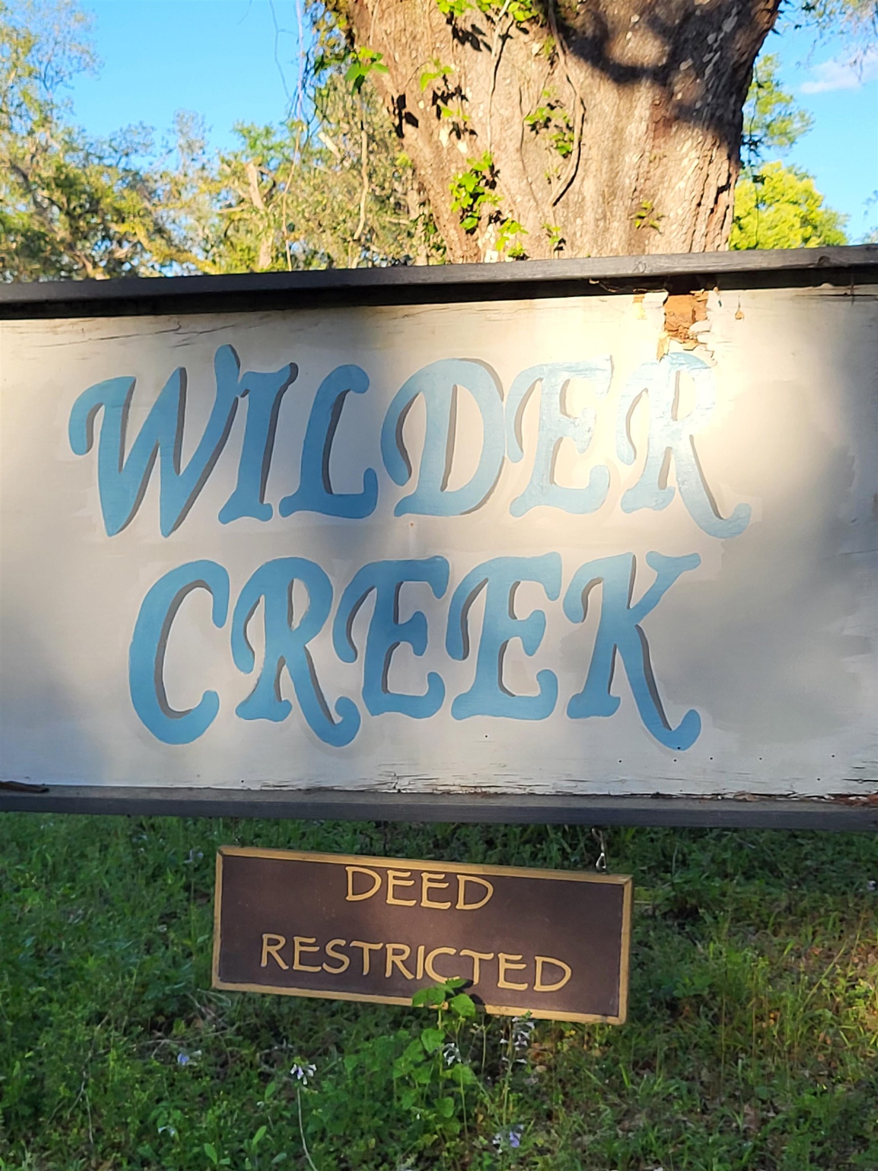 Lot 22 Canopy Lane, Perry, Florida image 2