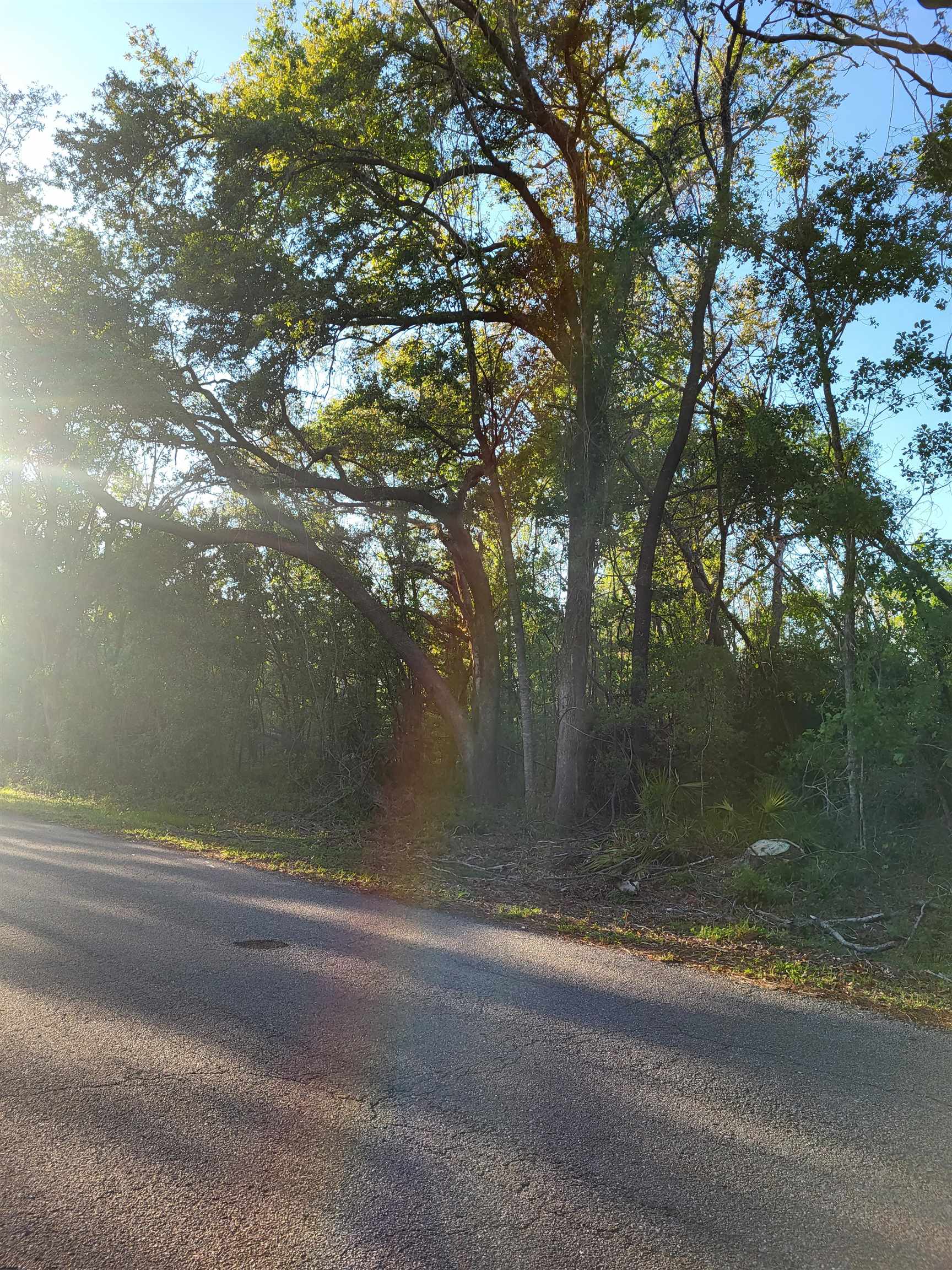Lot 22 Canopy Lane, Perry, Florida image 3