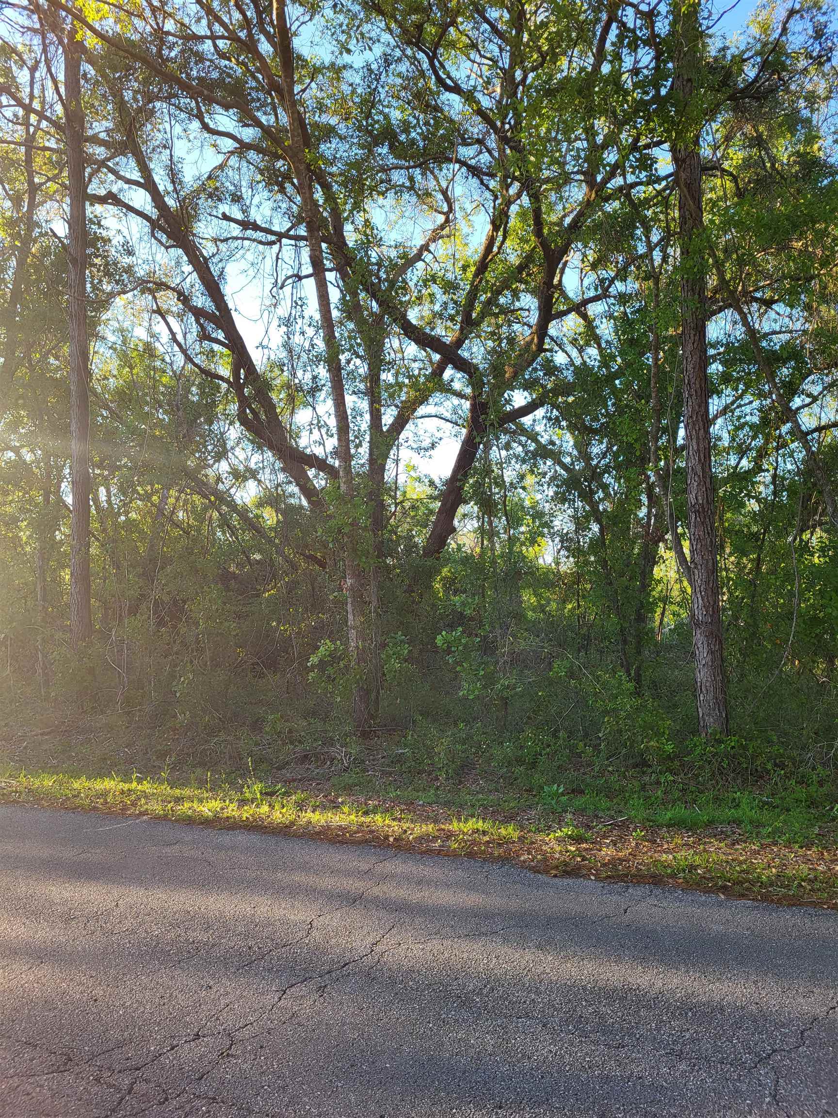Lot 22 Canopy Lane, Perry, Florida image 5