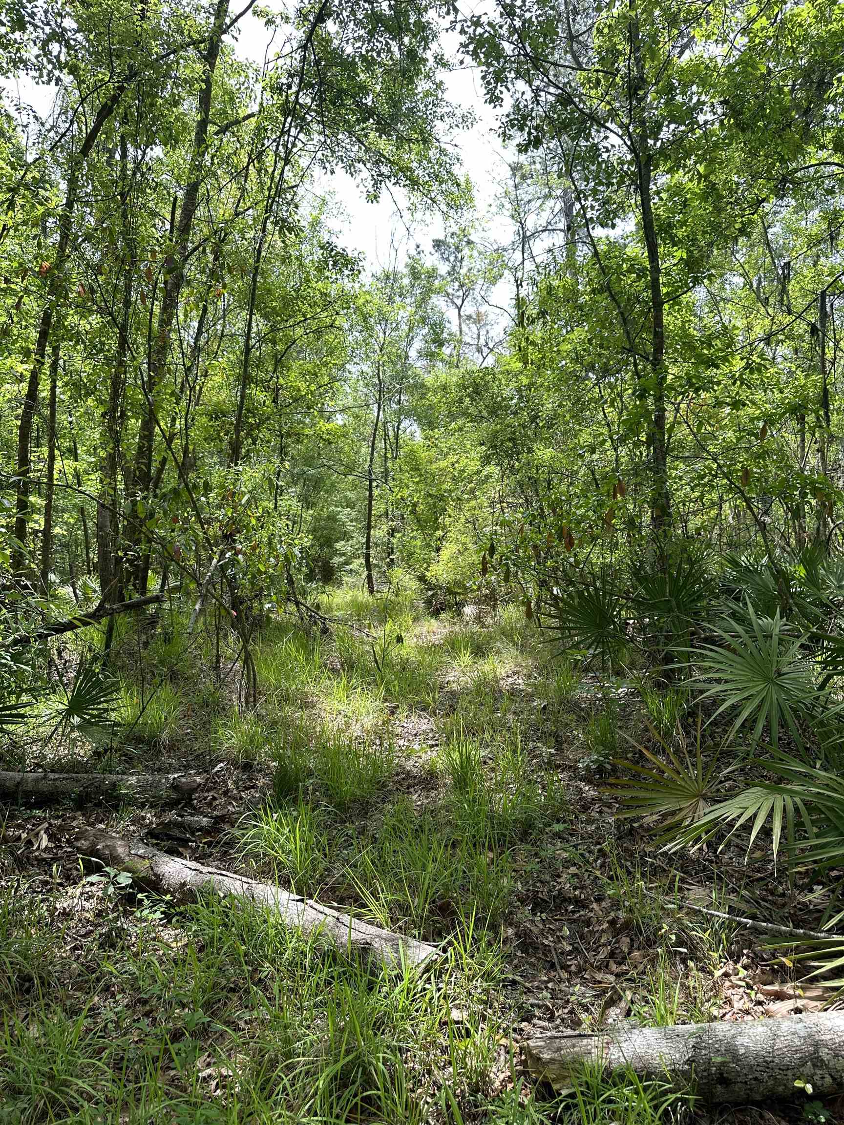 00 Sw County Rd. 751, Jasper, Florida image 11