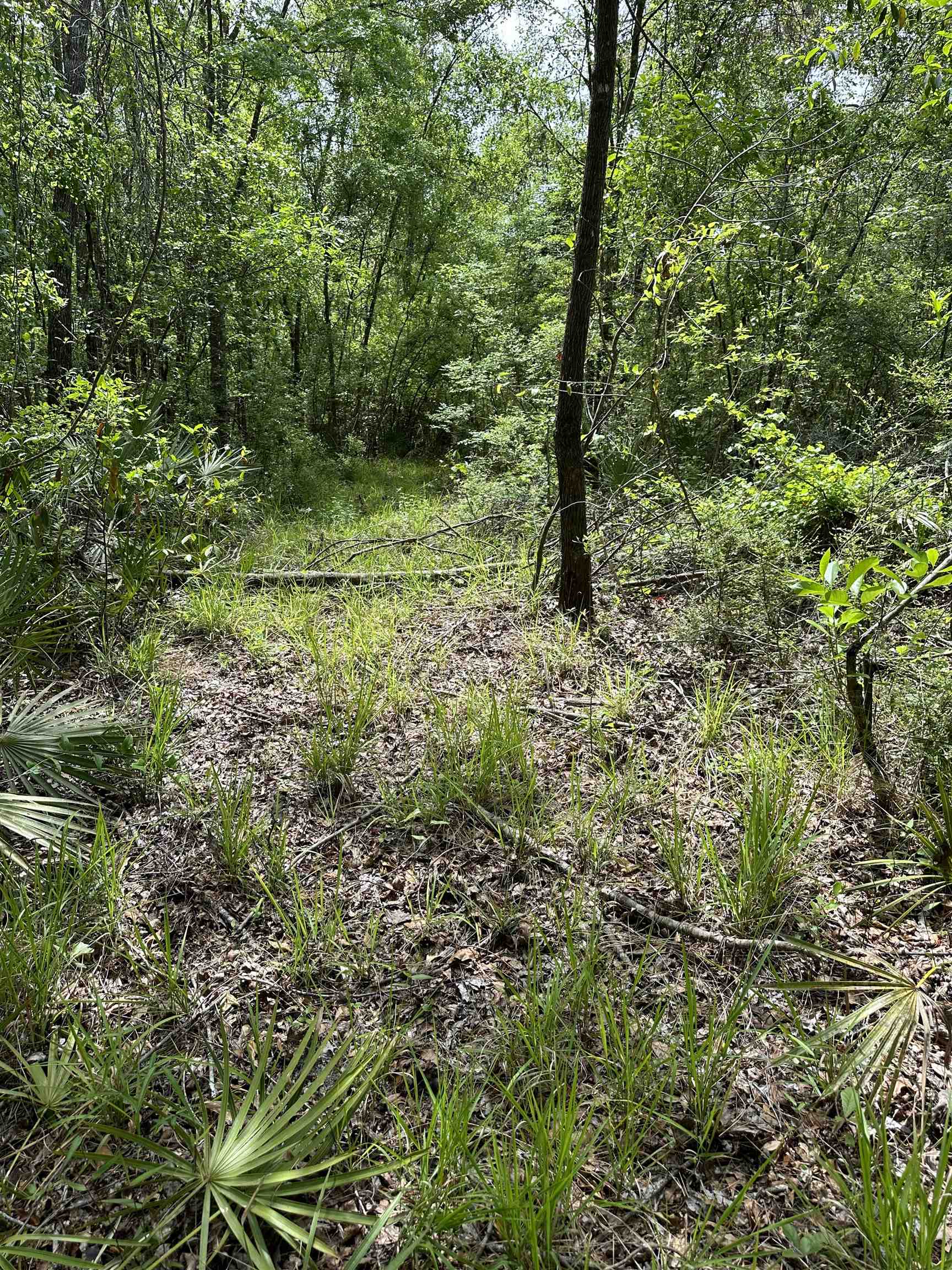 00 Sw County Rd. 751, Jasper, Florida image 15