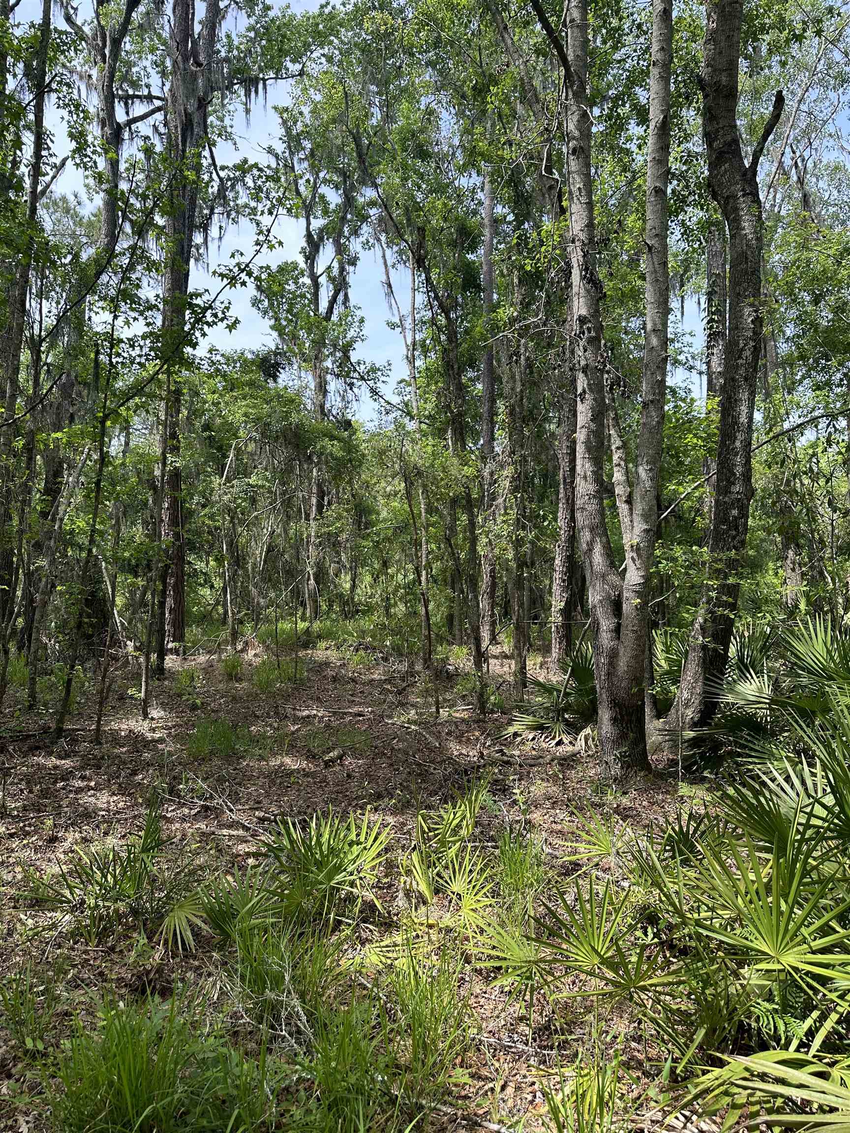 00 Sw County Rd. 751, Jasper, Florida image 18