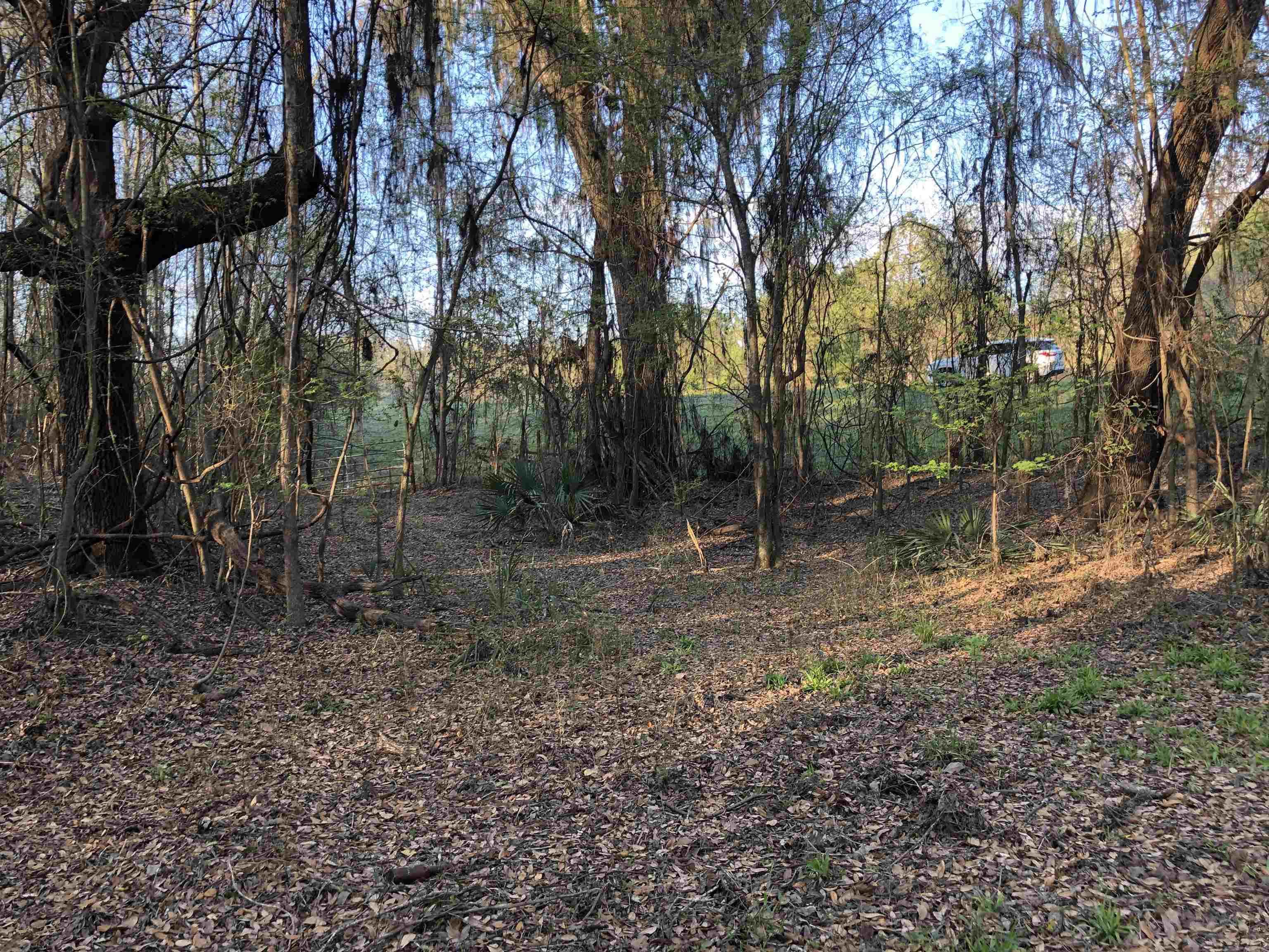 00 Sw County Rd. 751, Jasper, Florida image 8