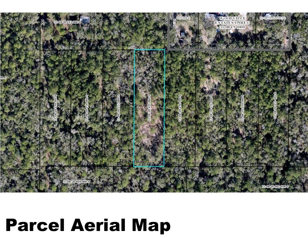 Tract E Lutterloh Road, Woodville, Florida image 7