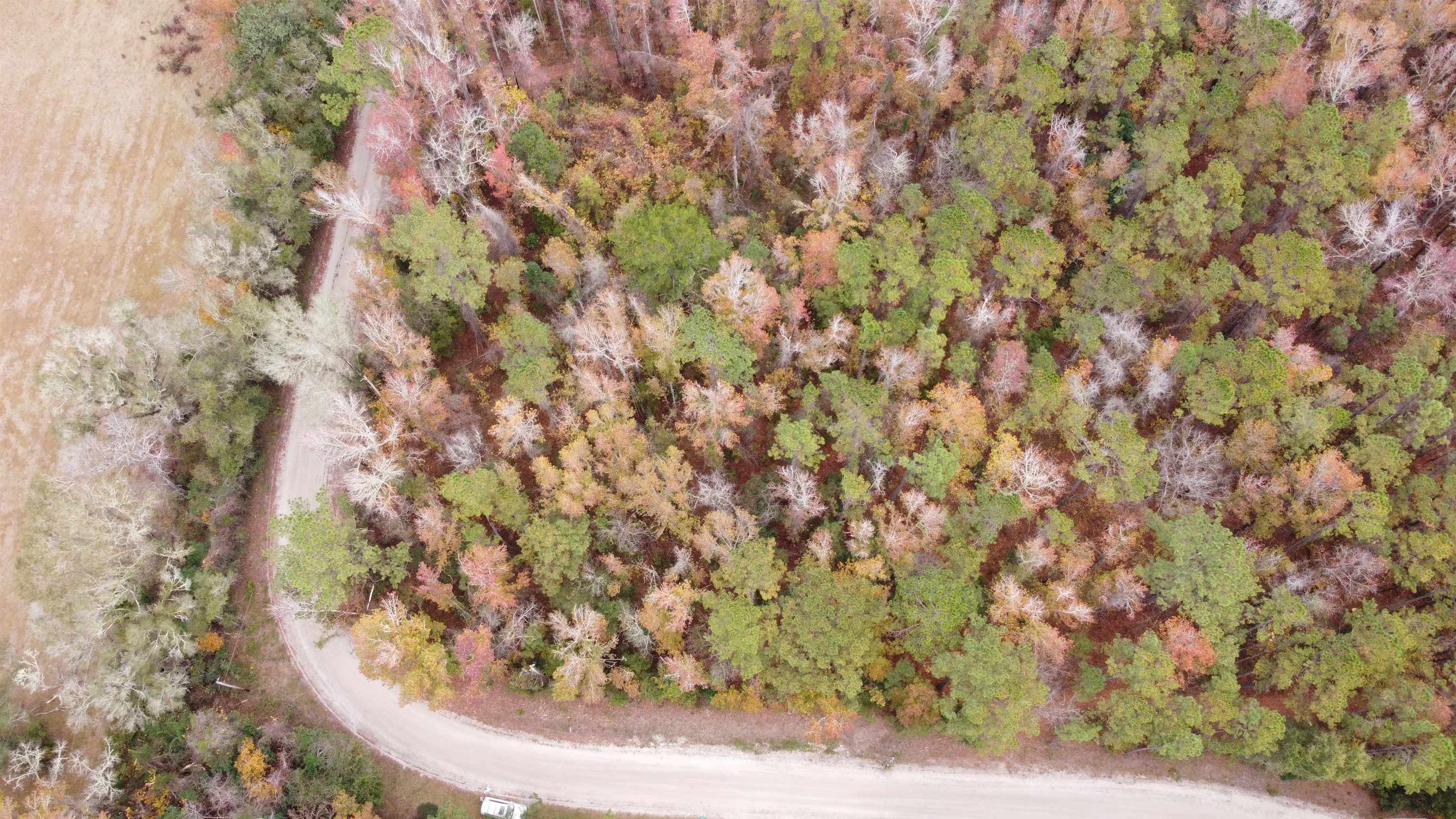 Deer Run Court, Sopchoppy, Florida image 11