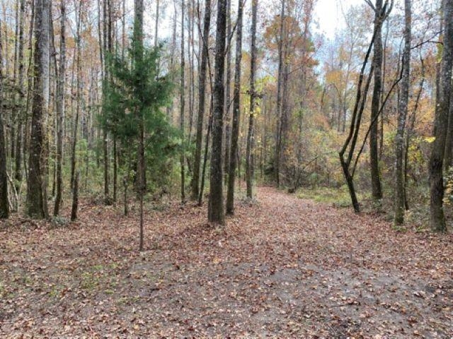Deer Run Court, Sopchoppy, Florida image 14