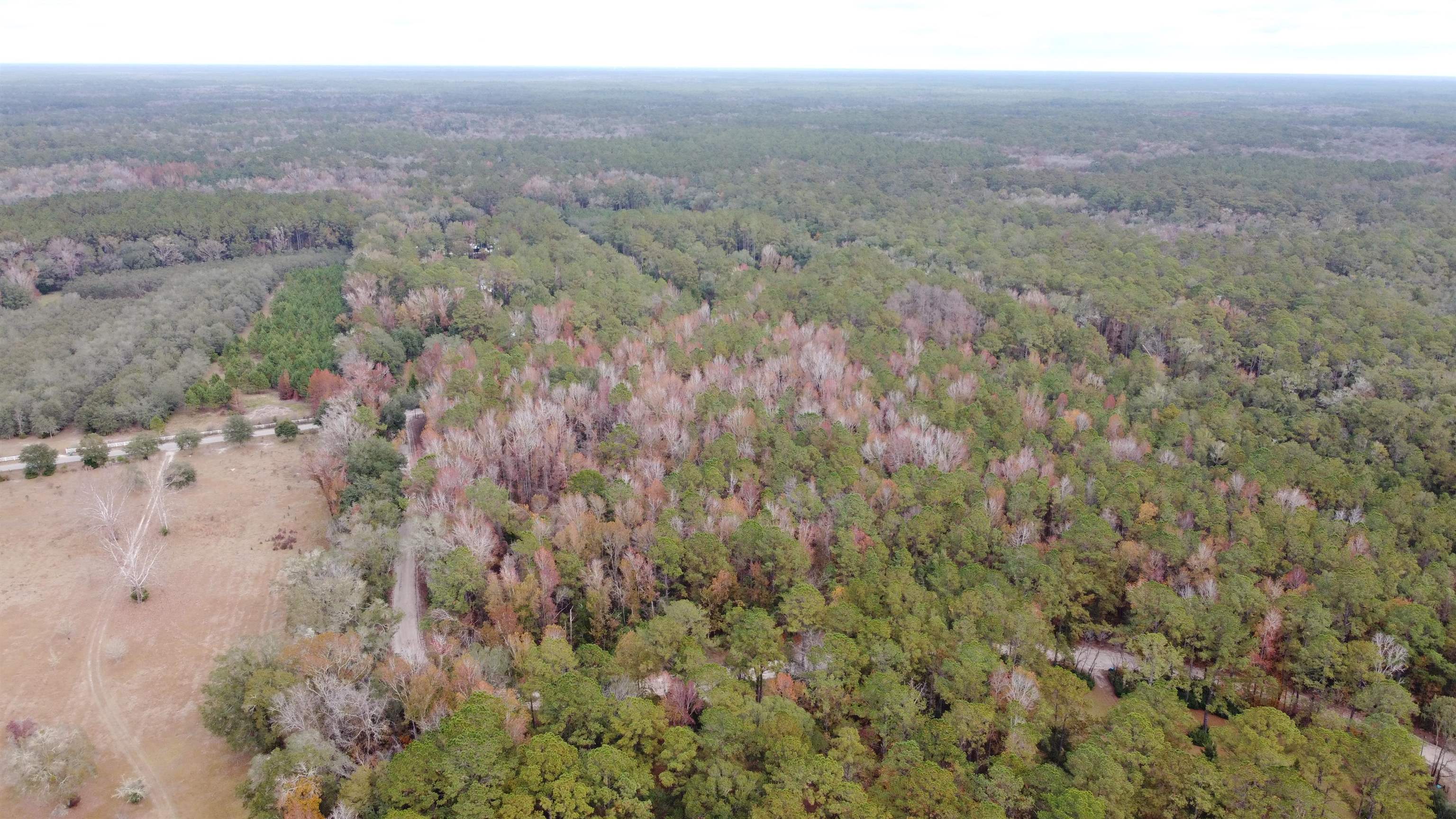 Deer Run Court, Sopchoppy, Florida image 18