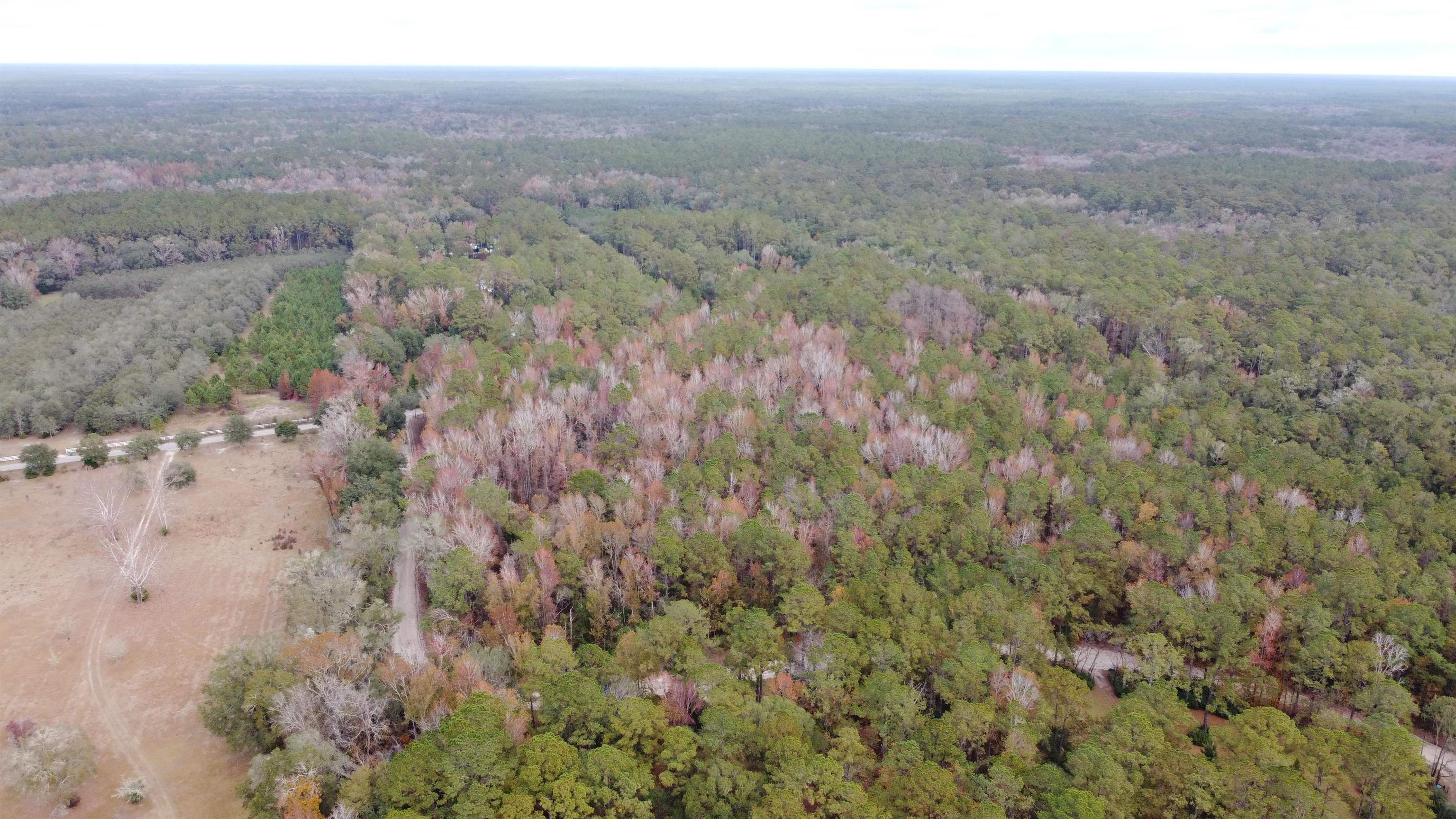 Deer Run Court, SOPCHOPPY, Florida image 18