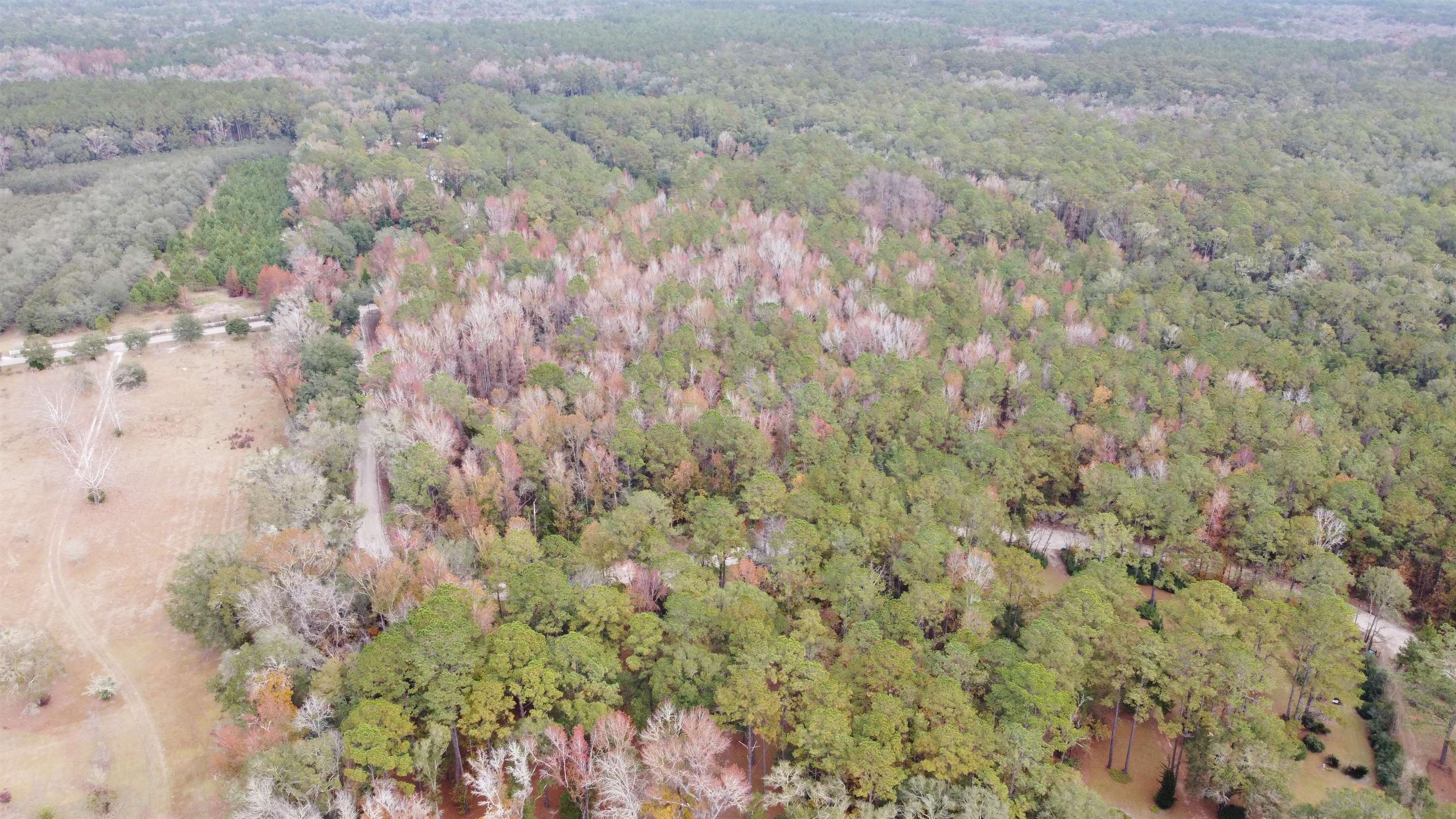 Deer Run Court, Sopchoppy, Florida image 19