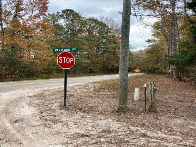 Deer Run Court, Sopchoppy, Florida image 2