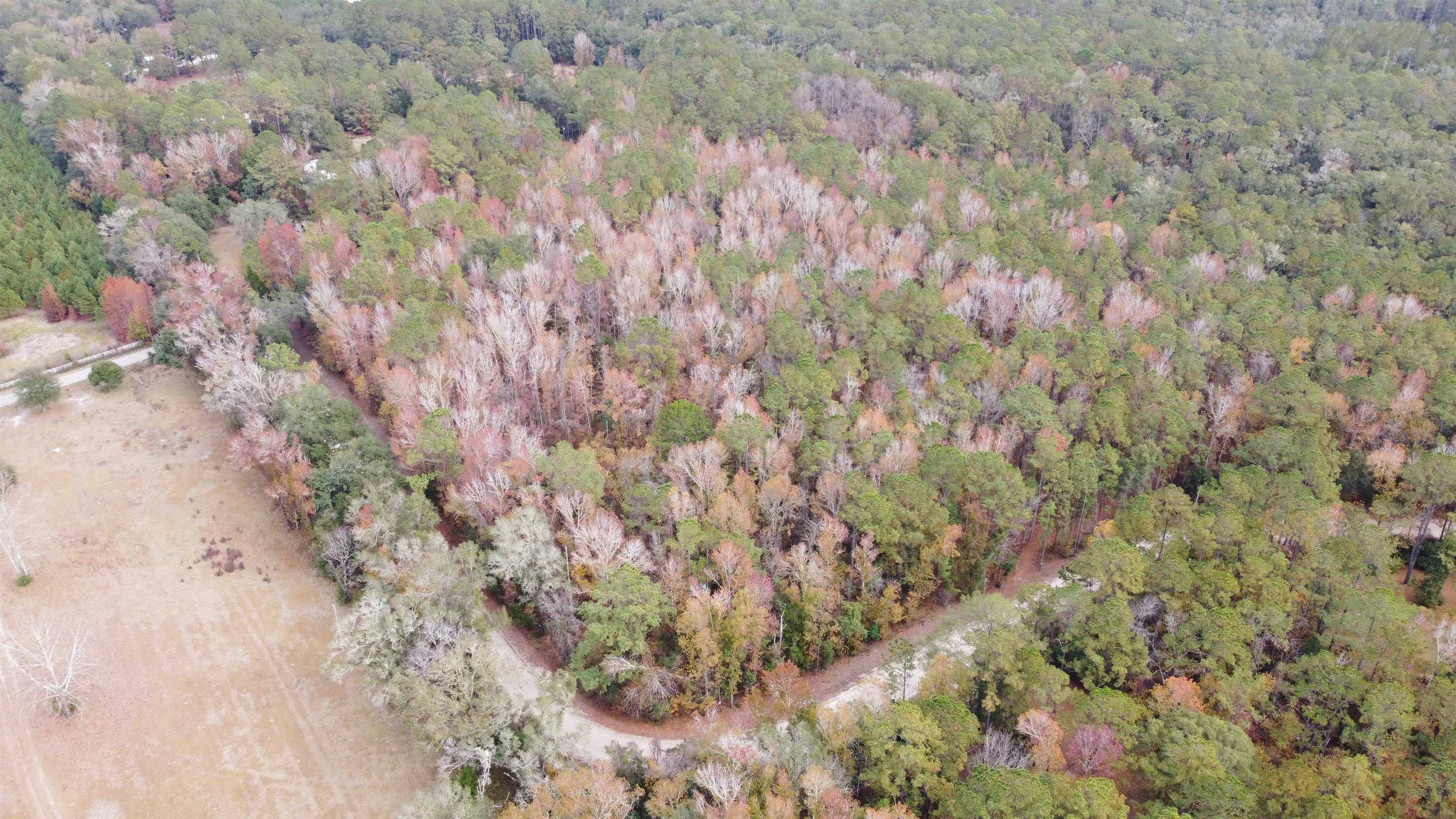 Deer Run Court, Sopchoppy, Florida image 20
