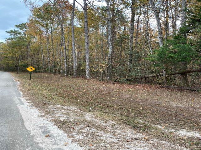 Deer Run Court, Sopchoppy, Florida image 5