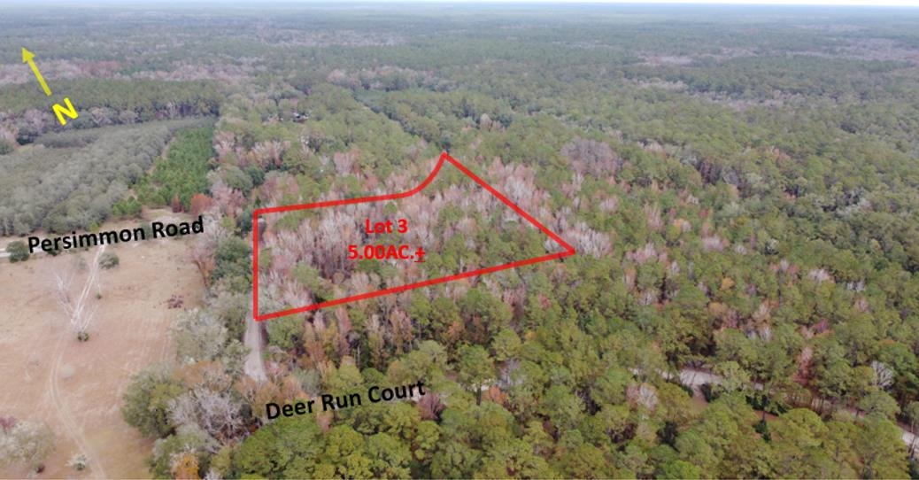 Deer Run Court, Sopchoppy, Florida image 7