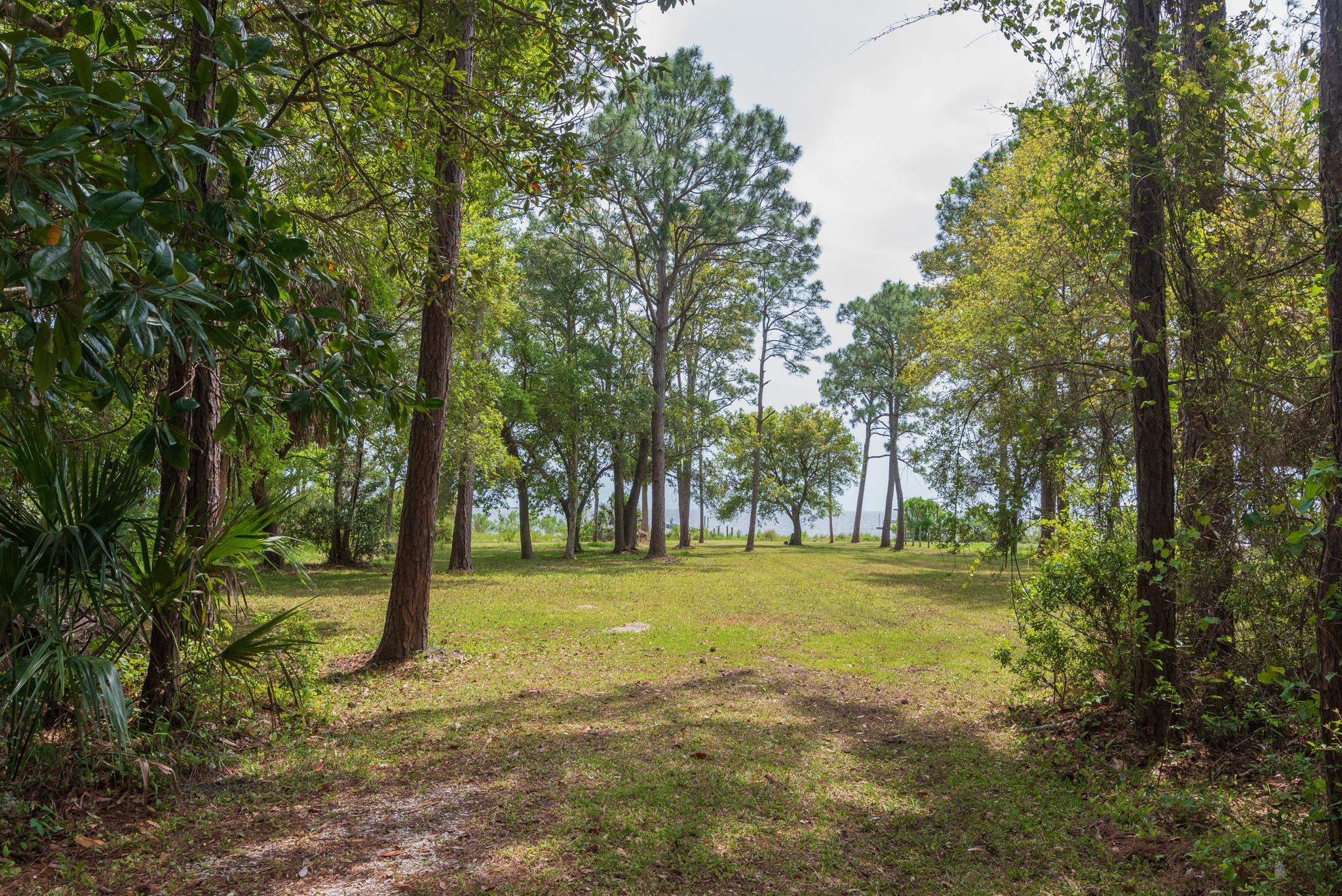 2630 E 98 Highway, CARRABELLE, Florida image 22