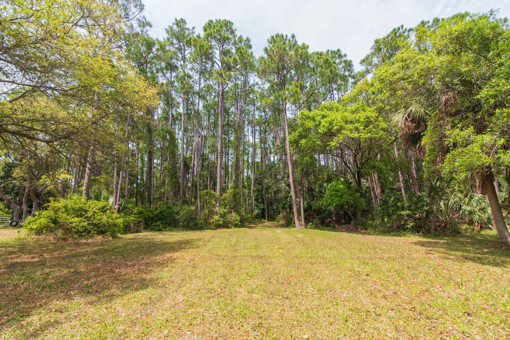 2630 E 98 Highway, CARRABELLE, Florida image 34