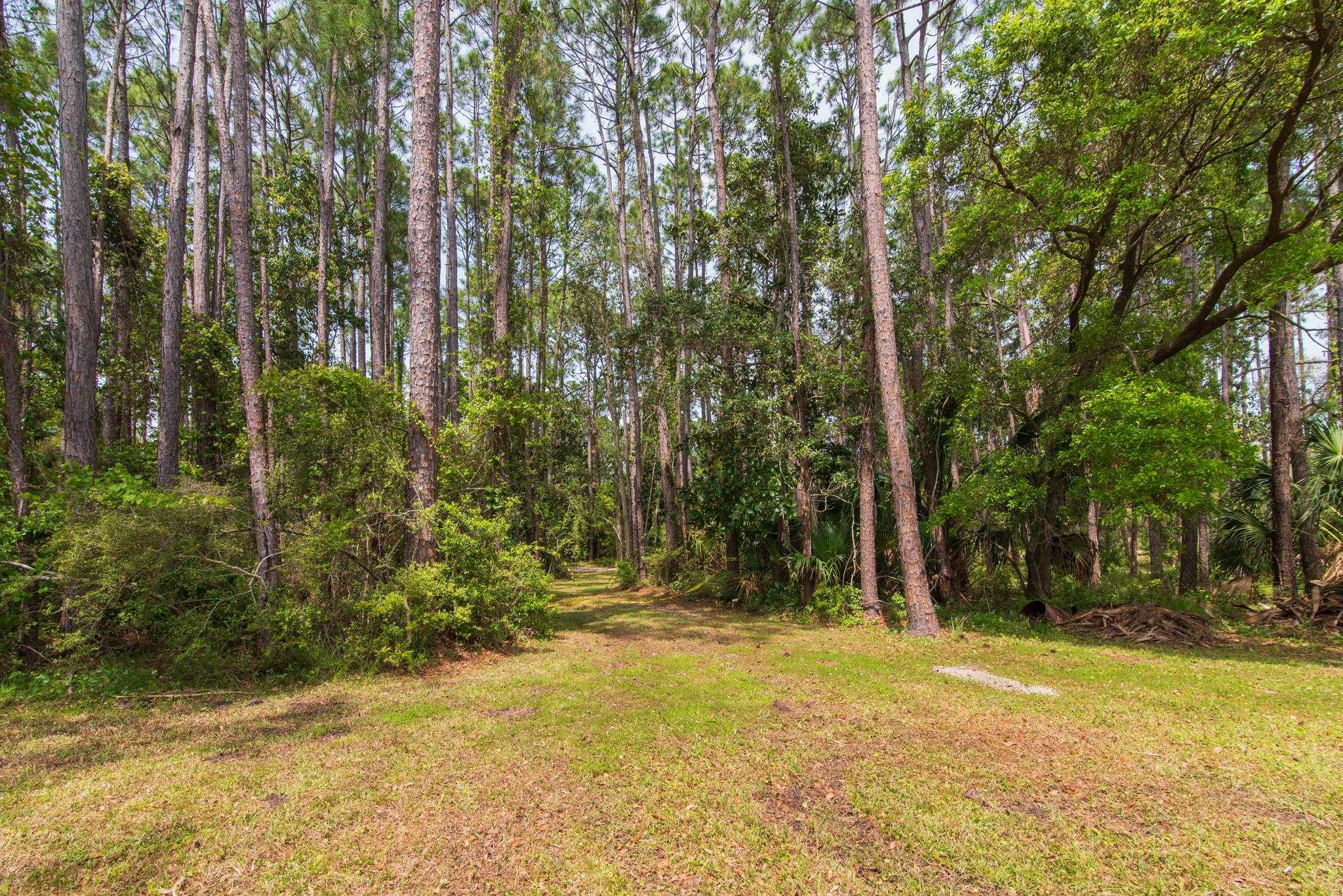 2630 E 98 Highway, CARRABELLE, Florida image 36