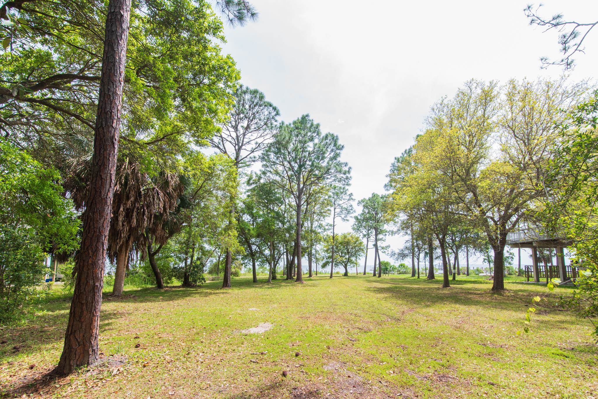 2630 E 98 Highway, CARRABELLE, Florida image 38