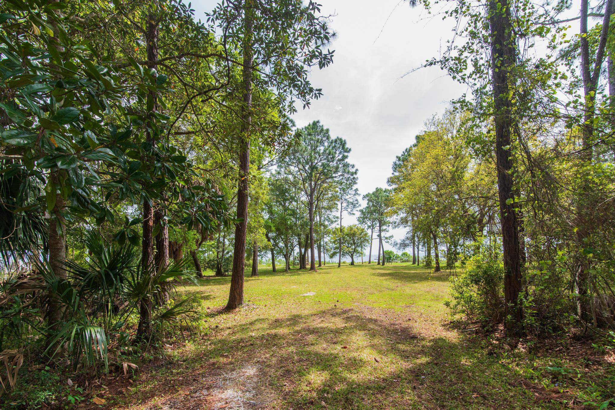 2630 E 98 Highway, CARRABELLE, Florida image 39