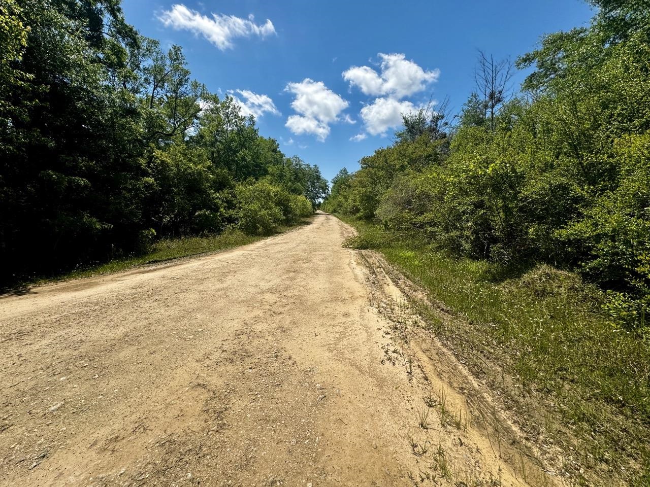 Vacant 62 Road, Lamont, Florida image 10