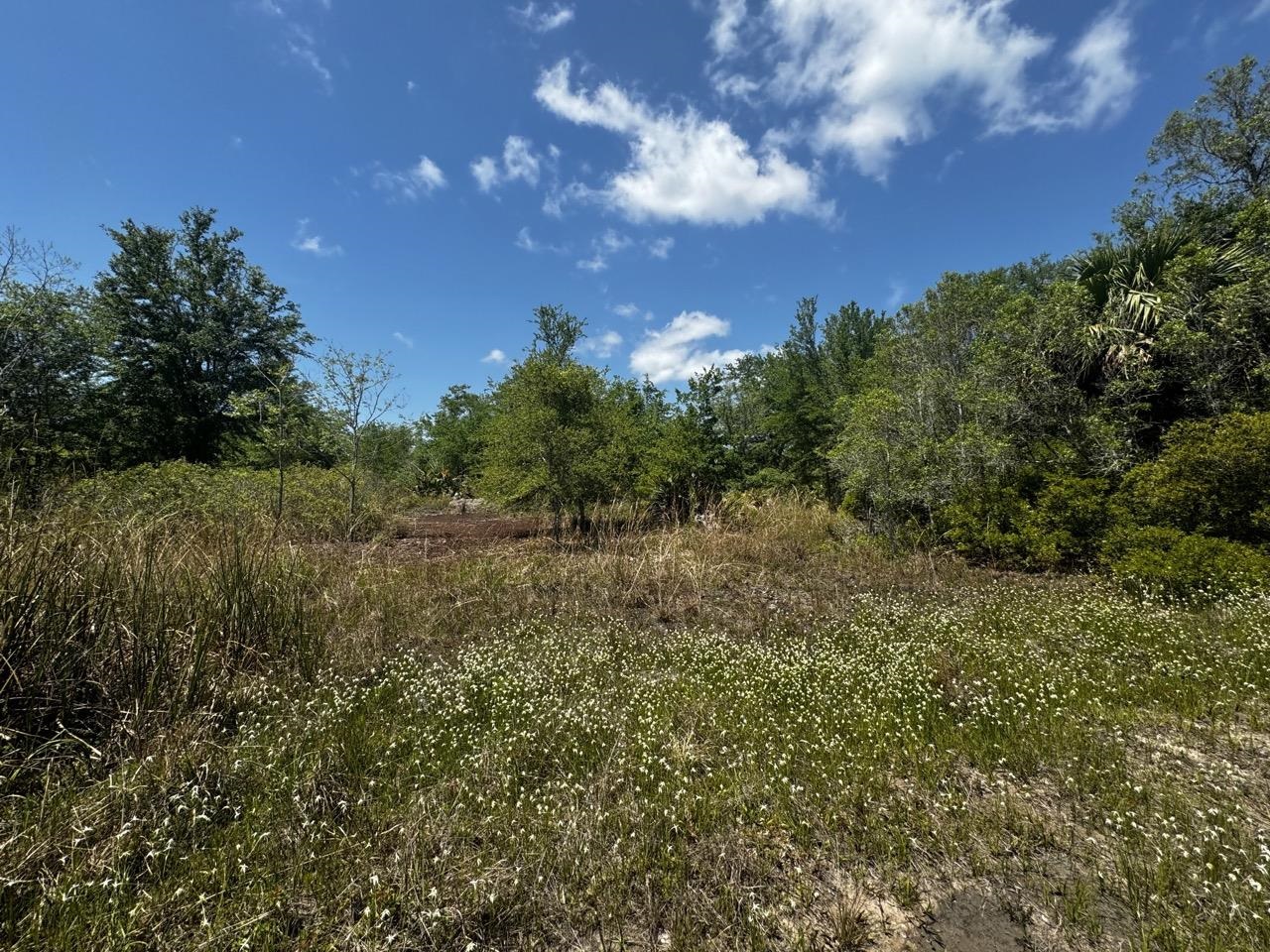 Vacant 62 Road, Lamont, Florida image 19