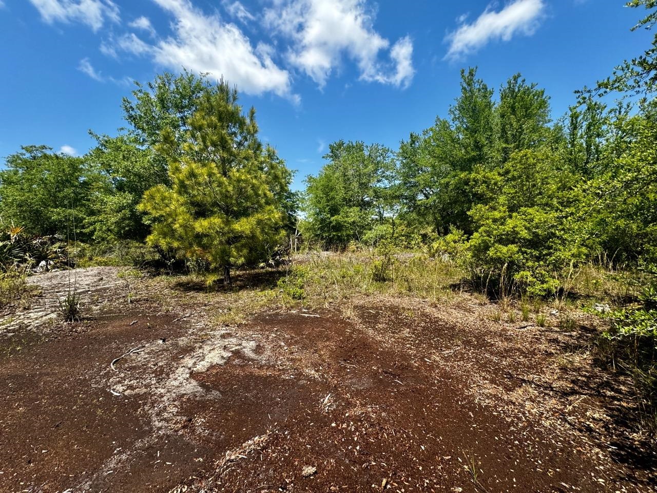 Vacant 62 Road, Lamont, Florida image 20