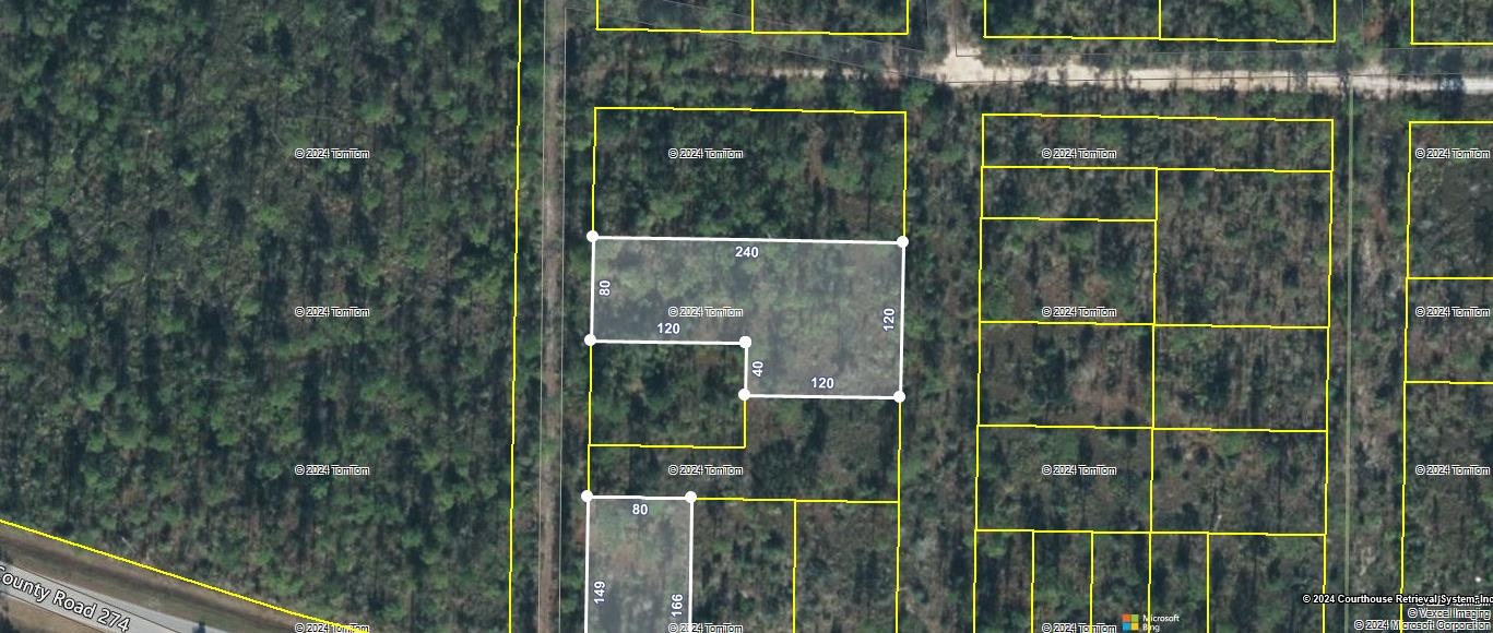 TBD NW Cr 274 / Compass Lake Avenue, Altha, Florida image 1