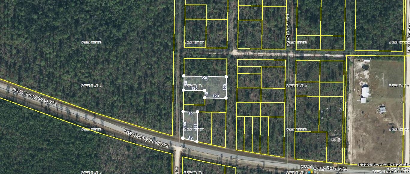 TBD NW Cr 274 / Compass Lake Avenue, Altha, Florida image 2