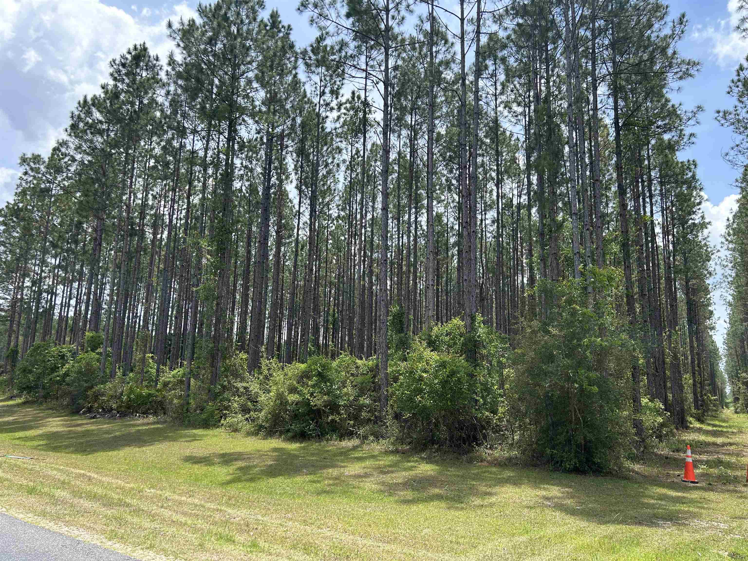 Ranch Club Road, Tallahassee, Florida image 1