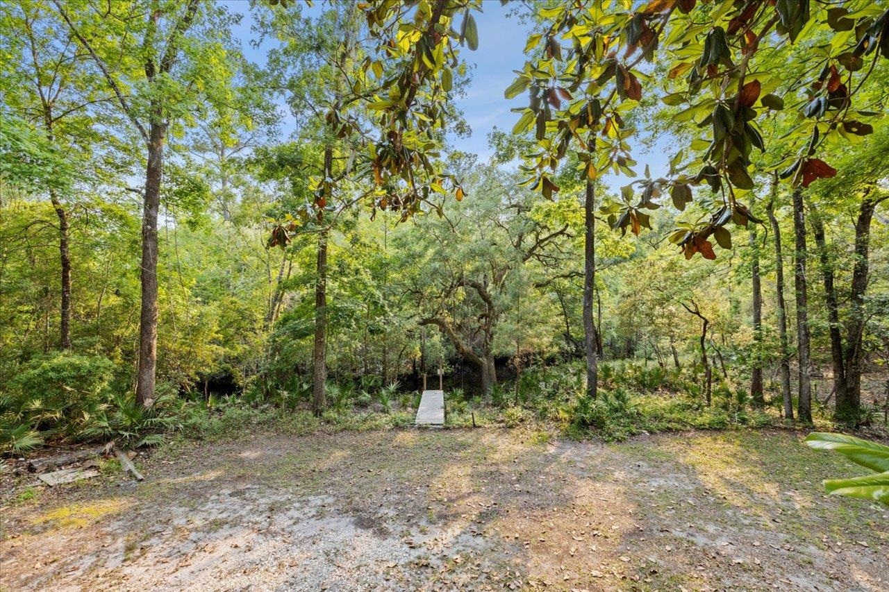 42 Fonigan Road, SOPCHOPPY, Florida image 27