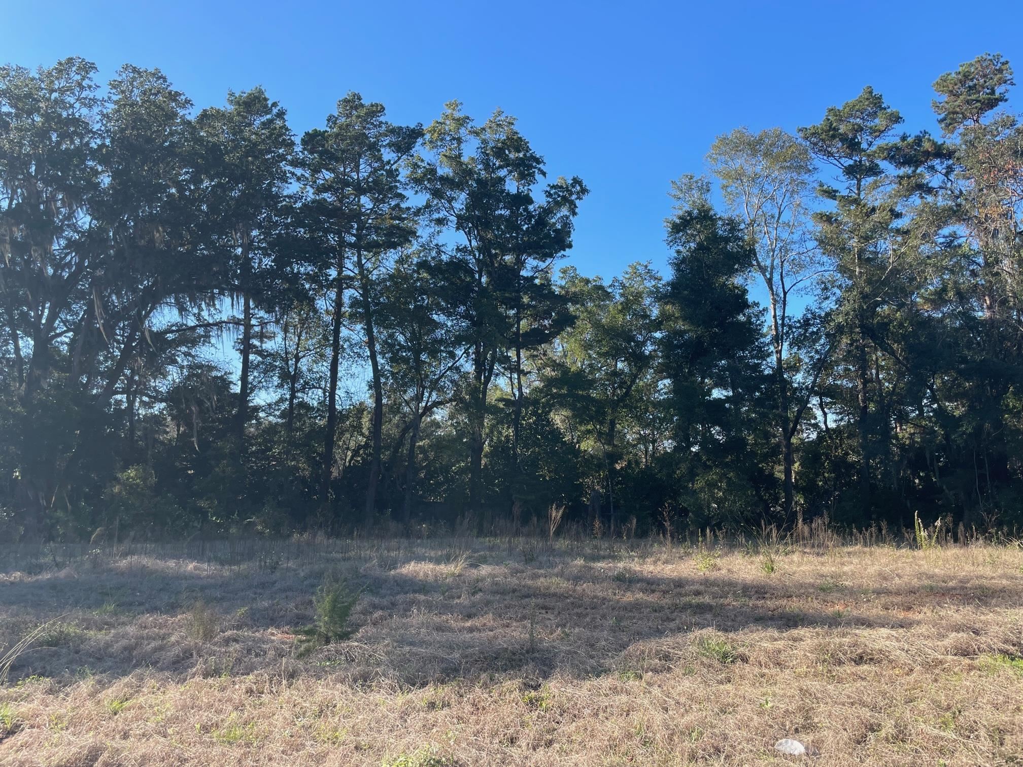4806 Carl Linnaeus Way, Tallahassee, Florida image 3