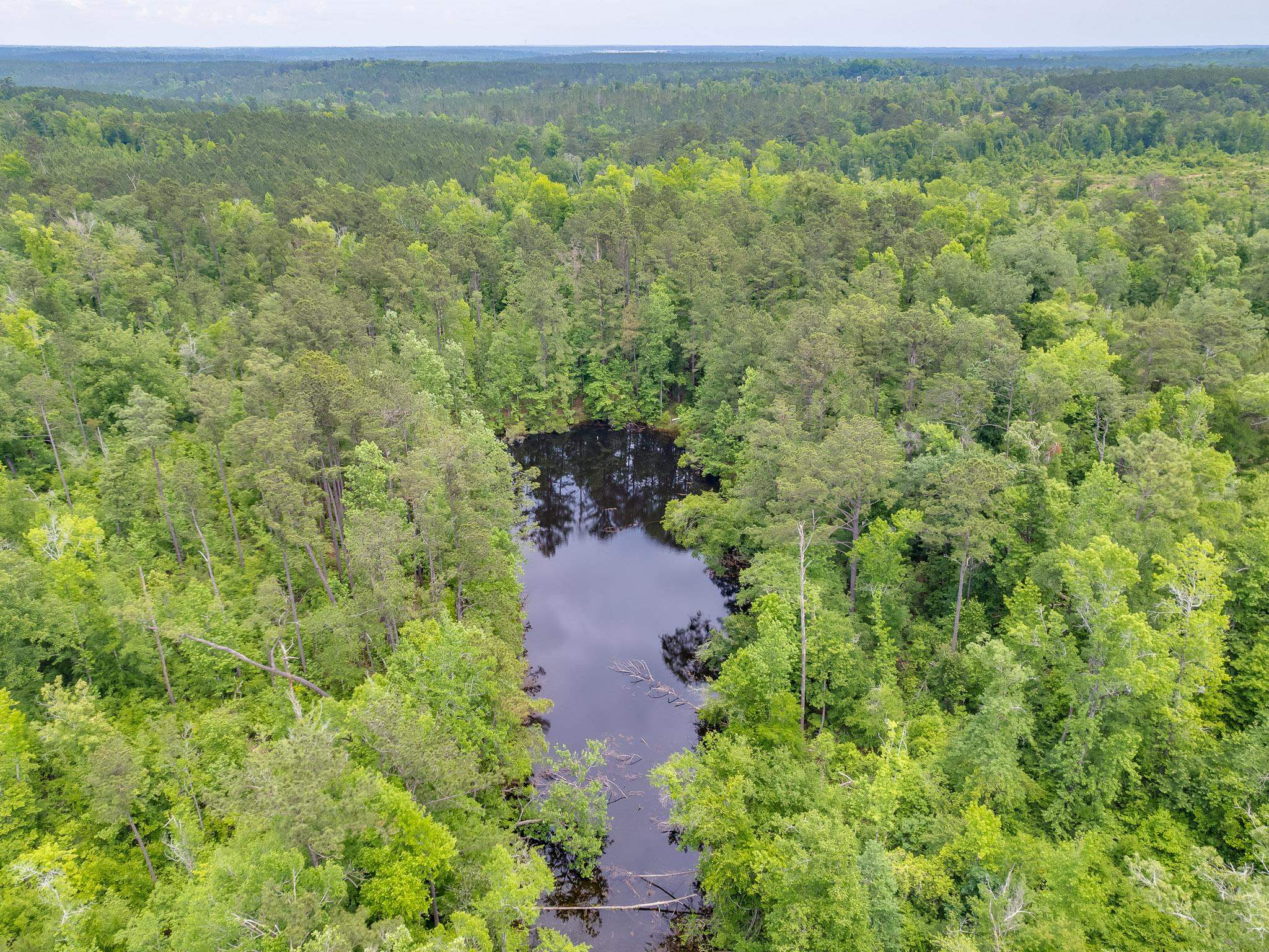 1899 Hardaway Highway, CHATTAHOOCHEE, Florida image 35