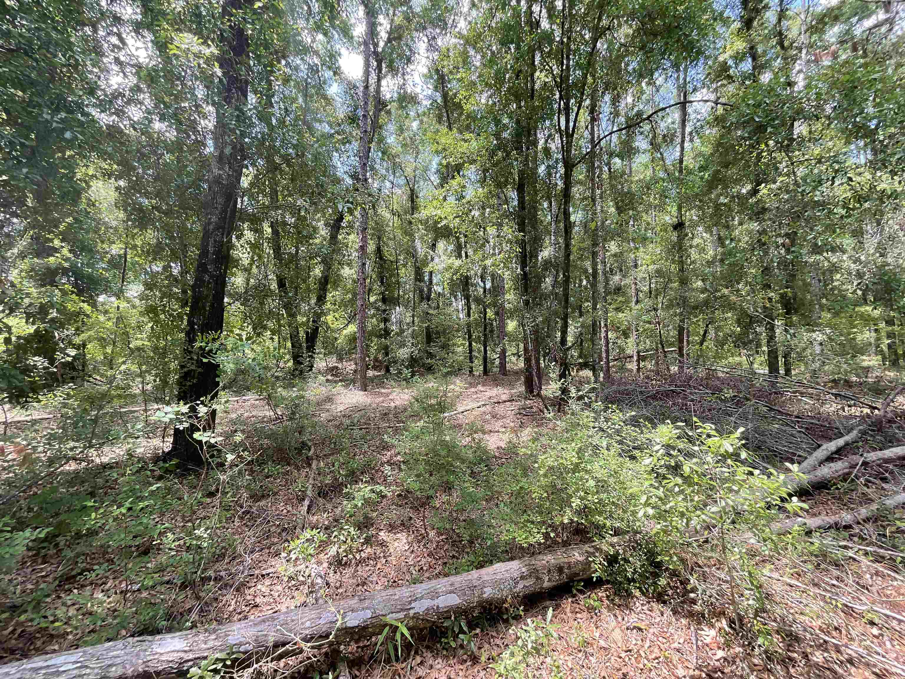 Vacant NW Sapphire Trail, Jennings, Florida image 12