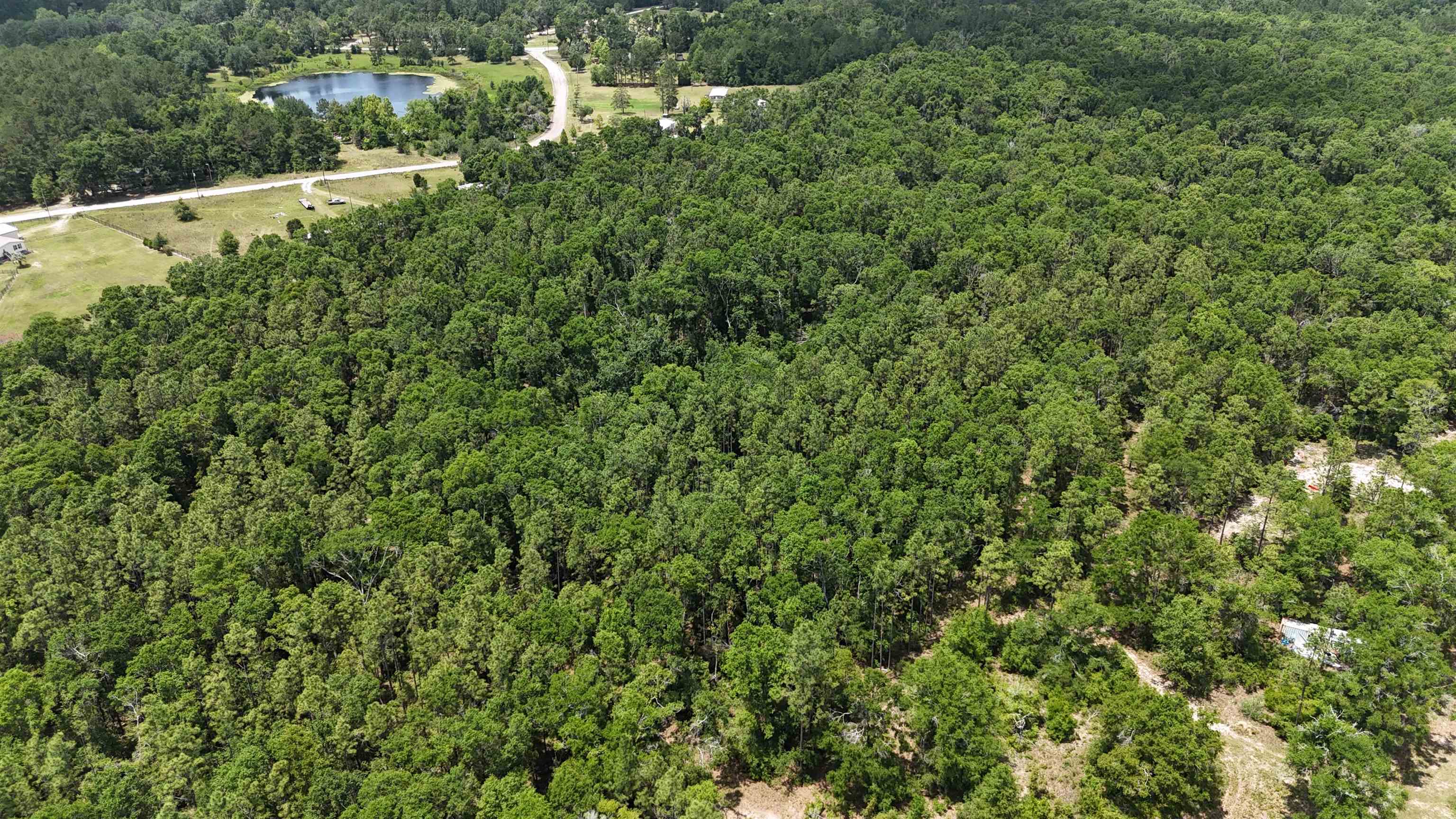 Vacant NW Sapphire Trail, Jennings, Florida image 2