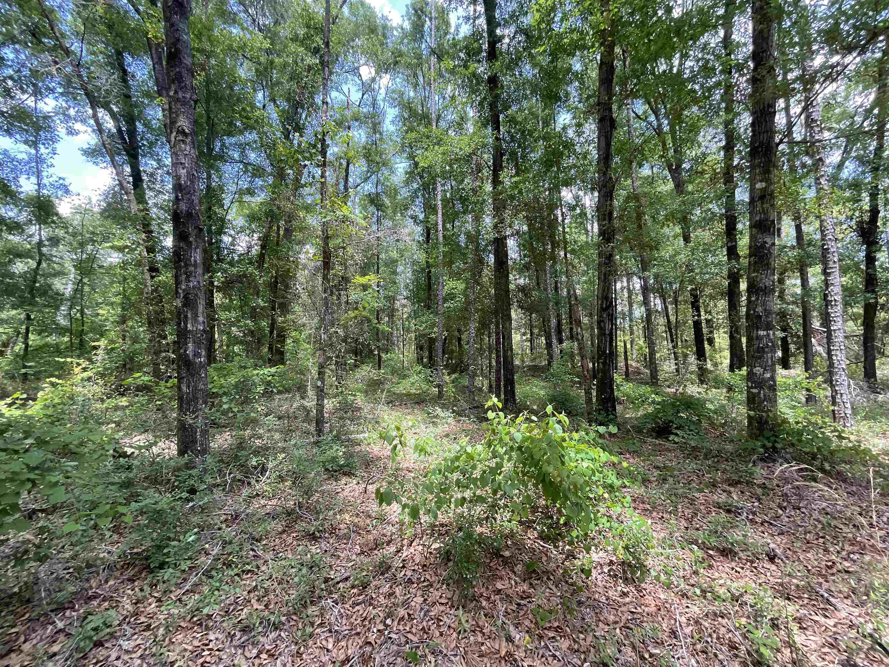 Vacant NW Sapphire Trail, Jennings, Florida image 35