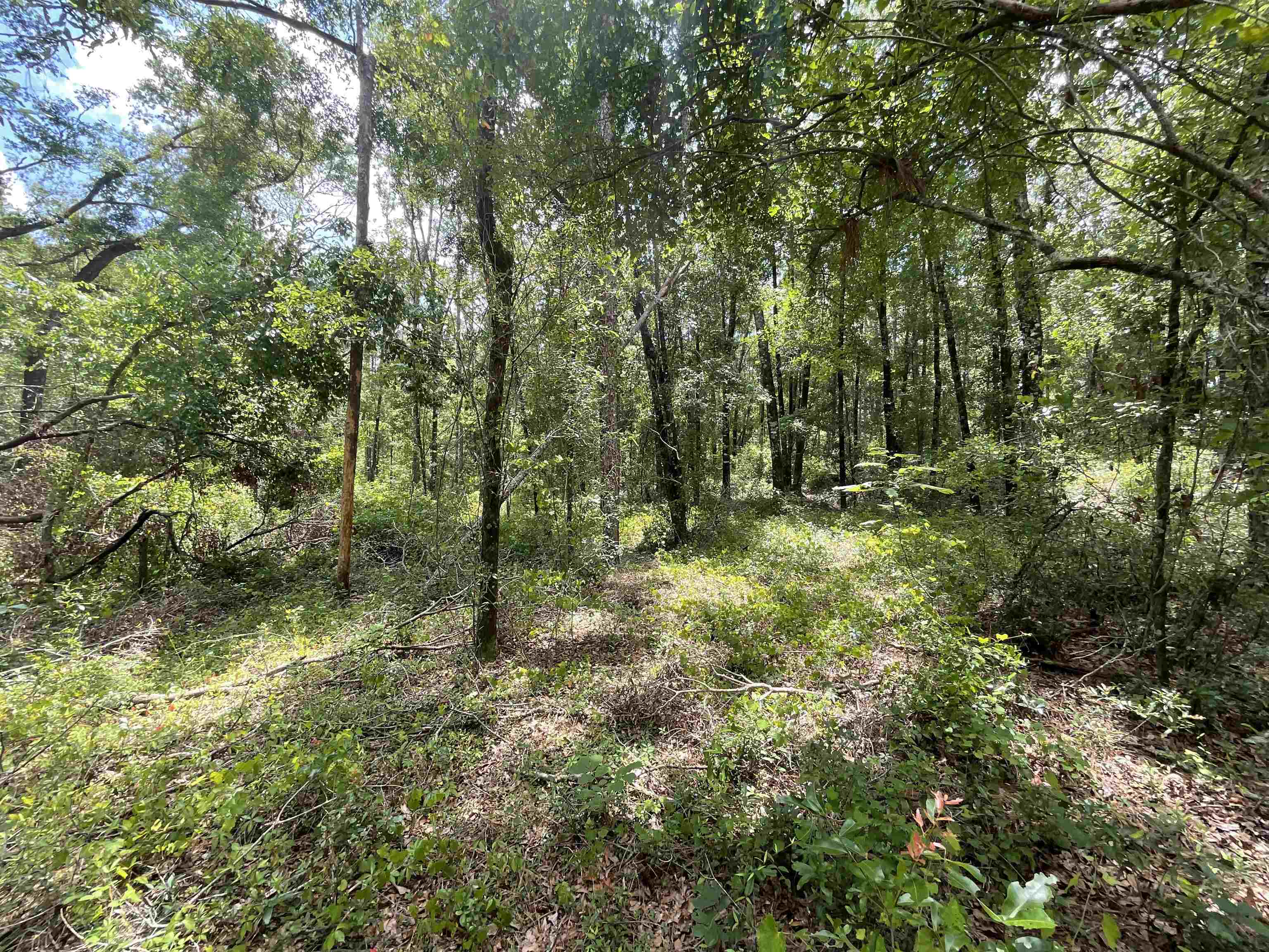 Vacant NW Sapphire Trail, Jennings, Florida image 36