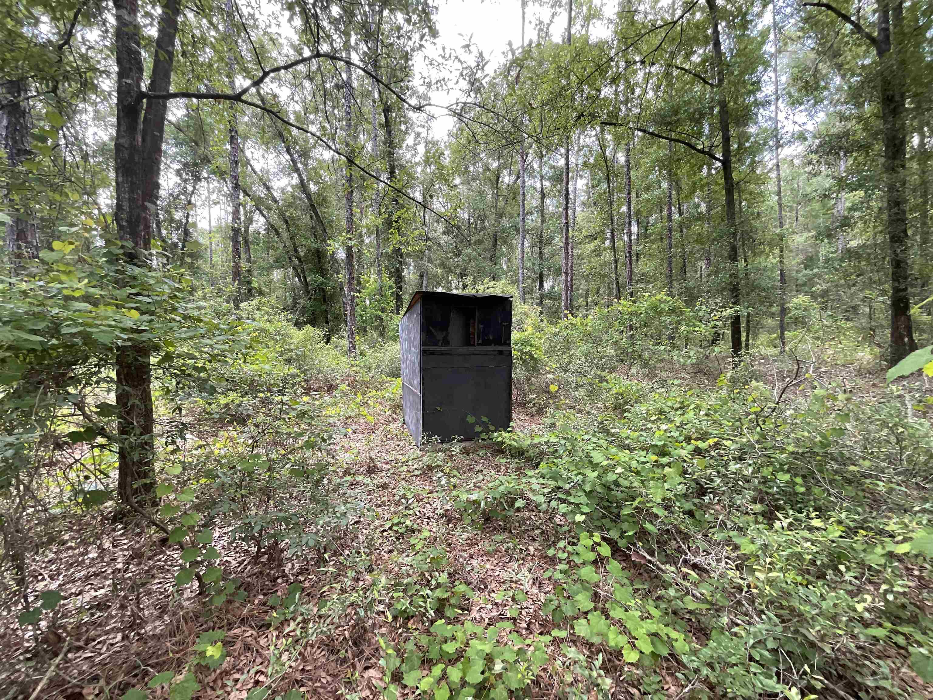 Vacant NW Sapphire Trail, Jennings, Florida image 37