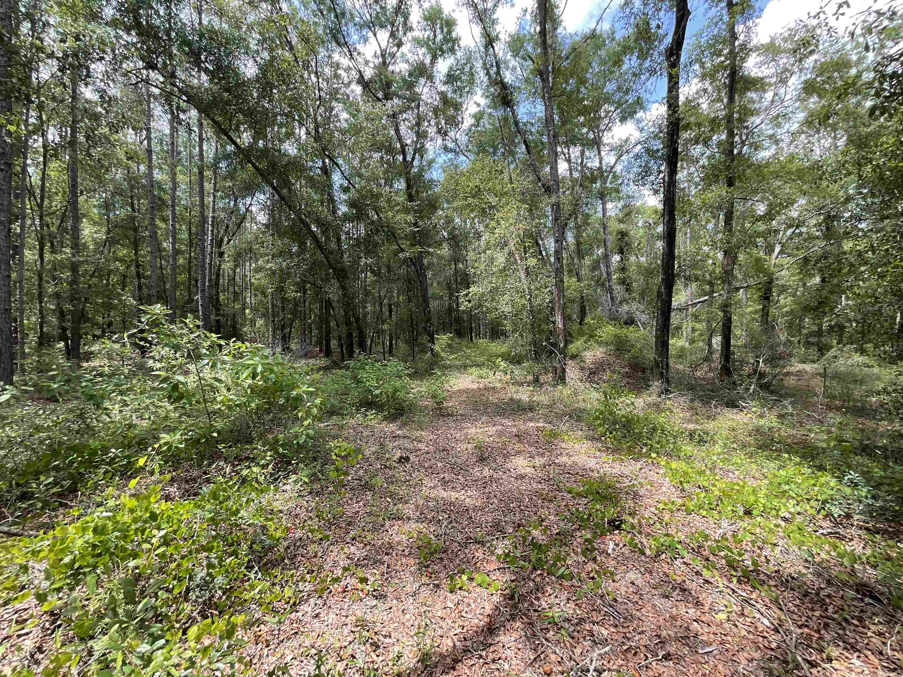 Vacant NW Sapphire Trail, Jennings, Florida image 39